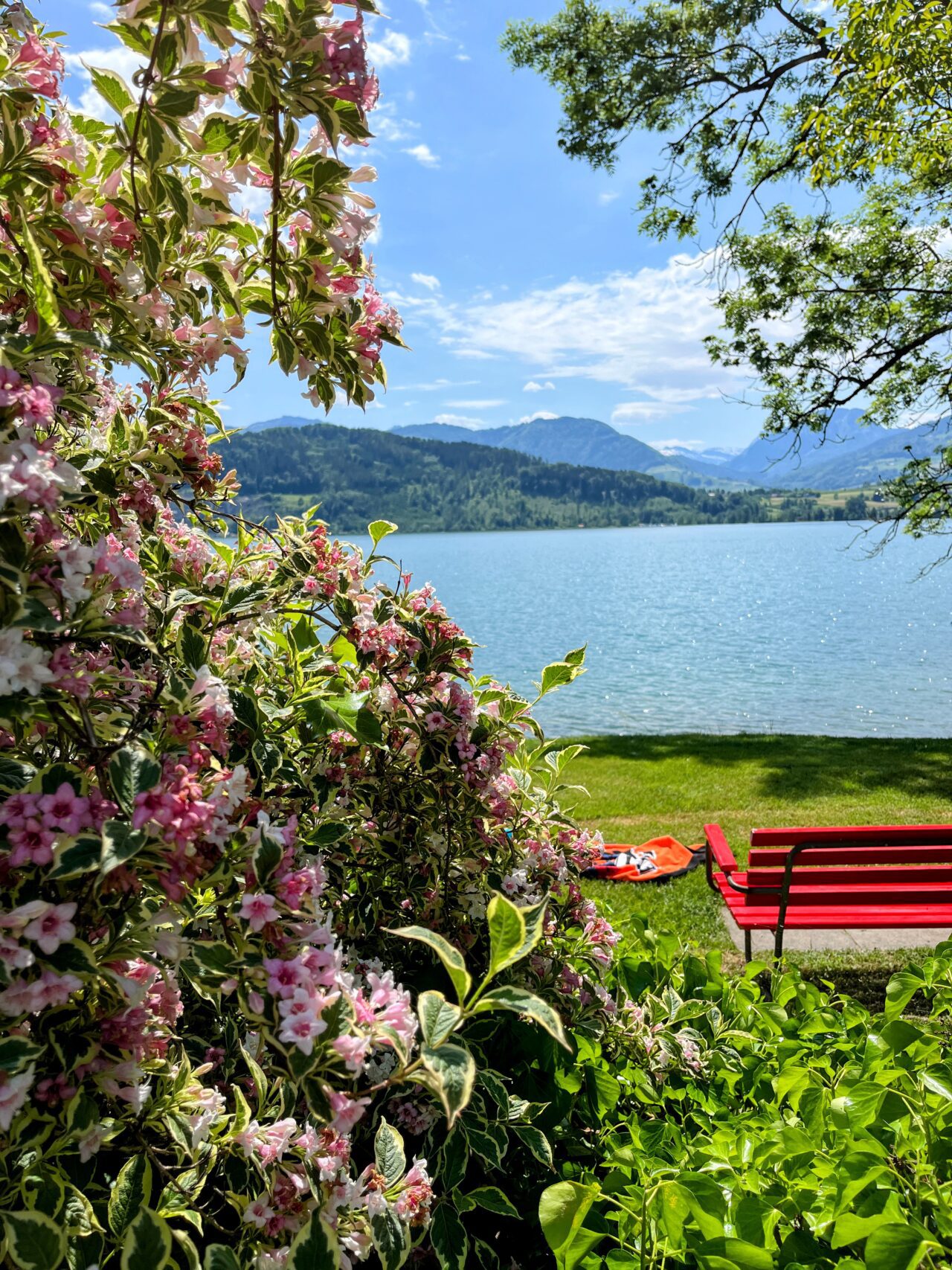 umrundung_zürichsee_schmerikon_stäfa_