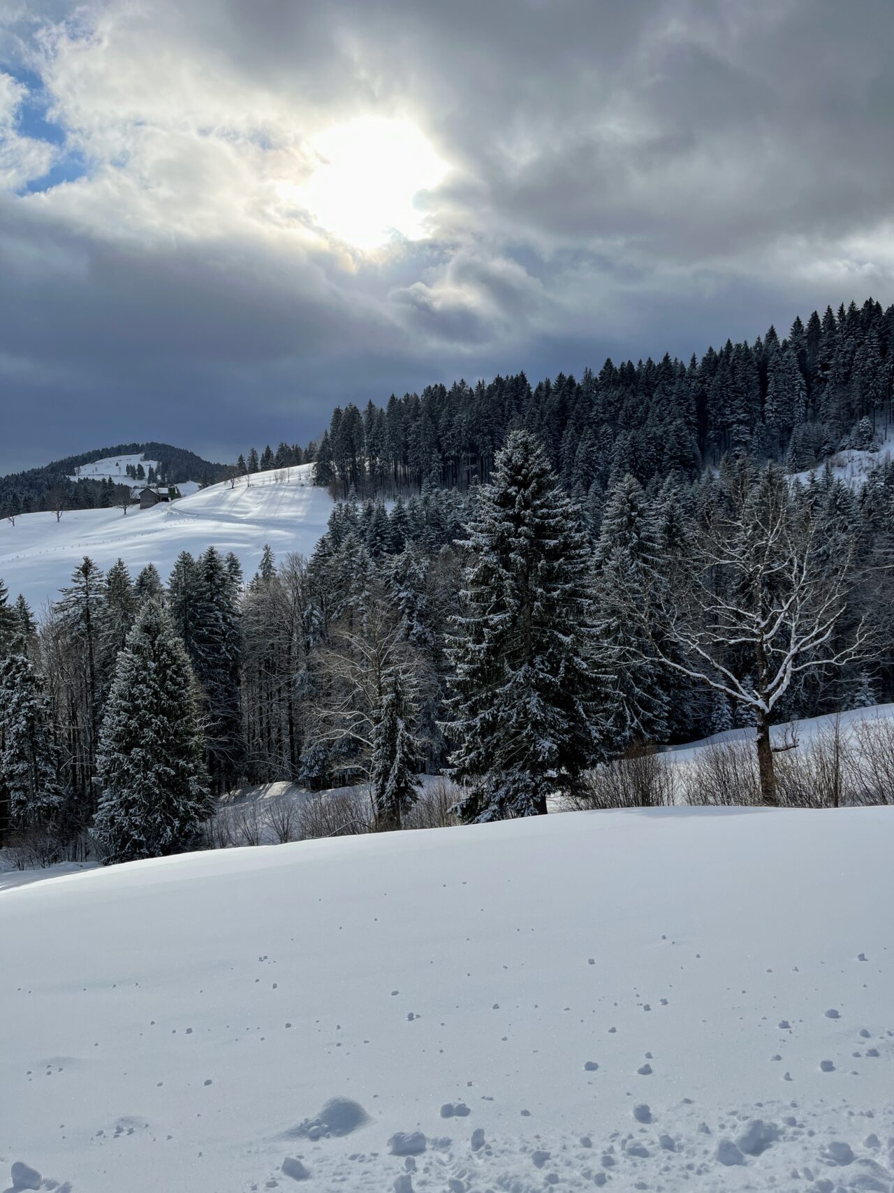 schneeschuhwandern_tanzboden__IMG_1850