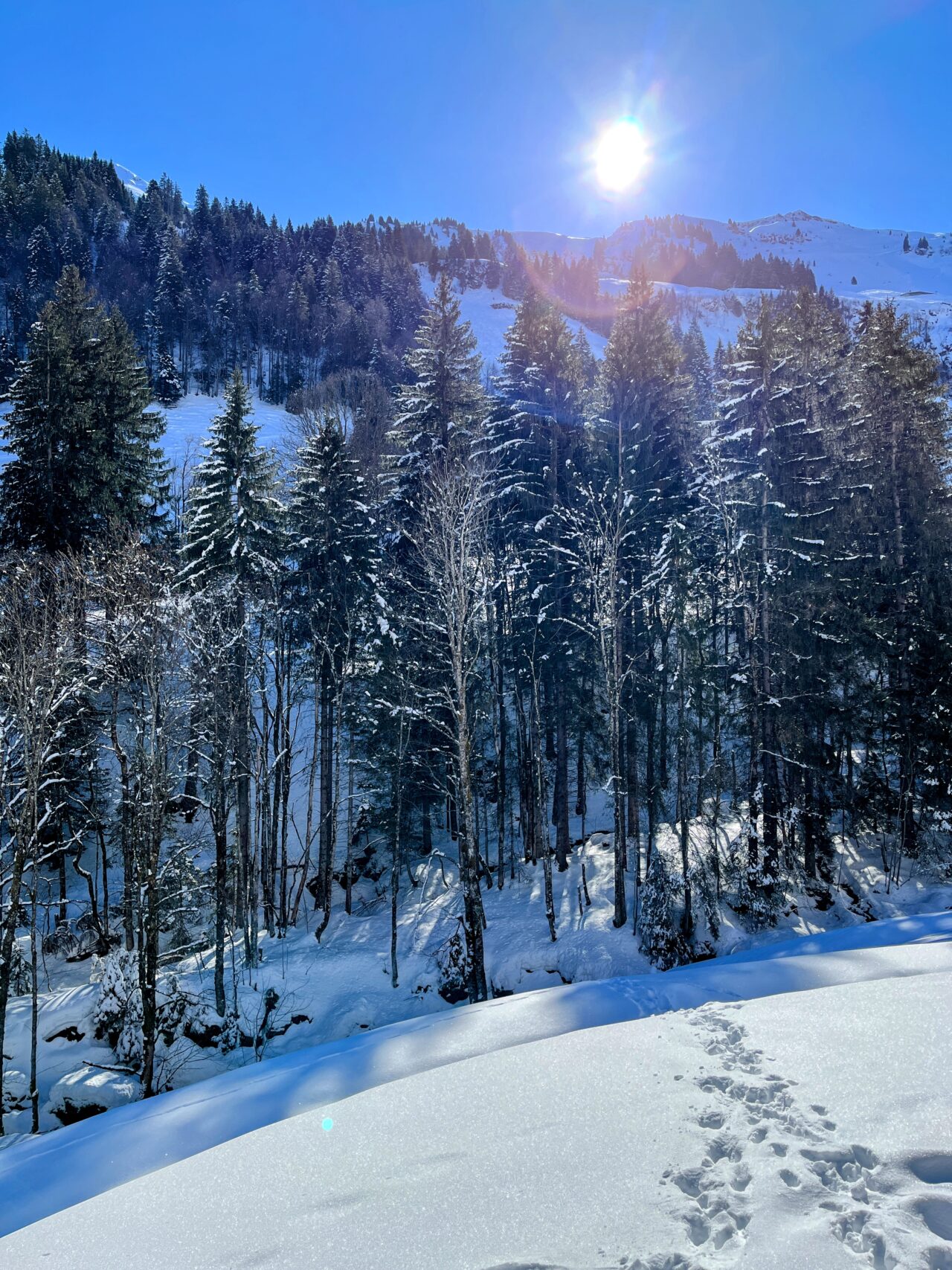 wanderung_druesberghütte_