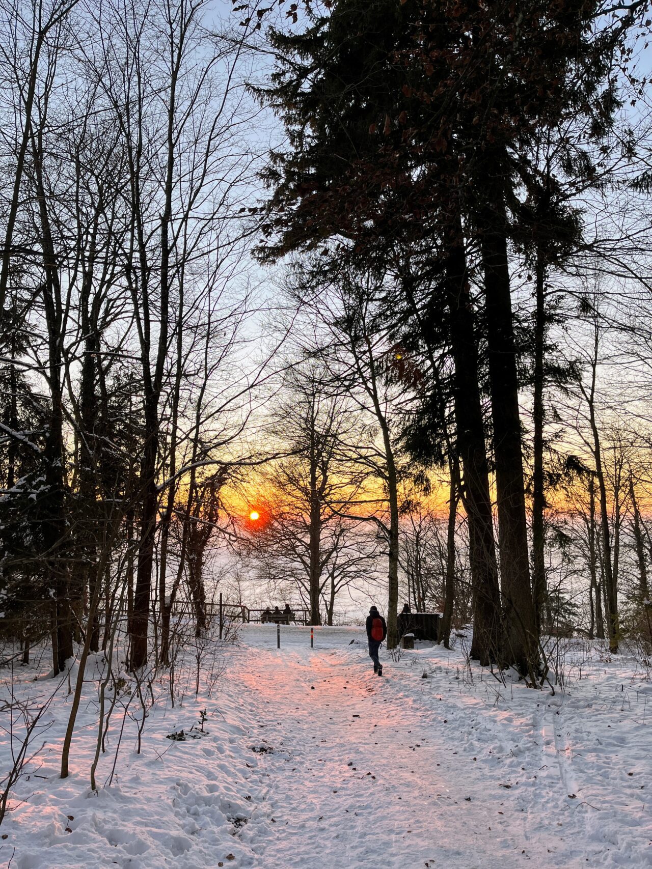 sonnenuntergang_uetliberg_