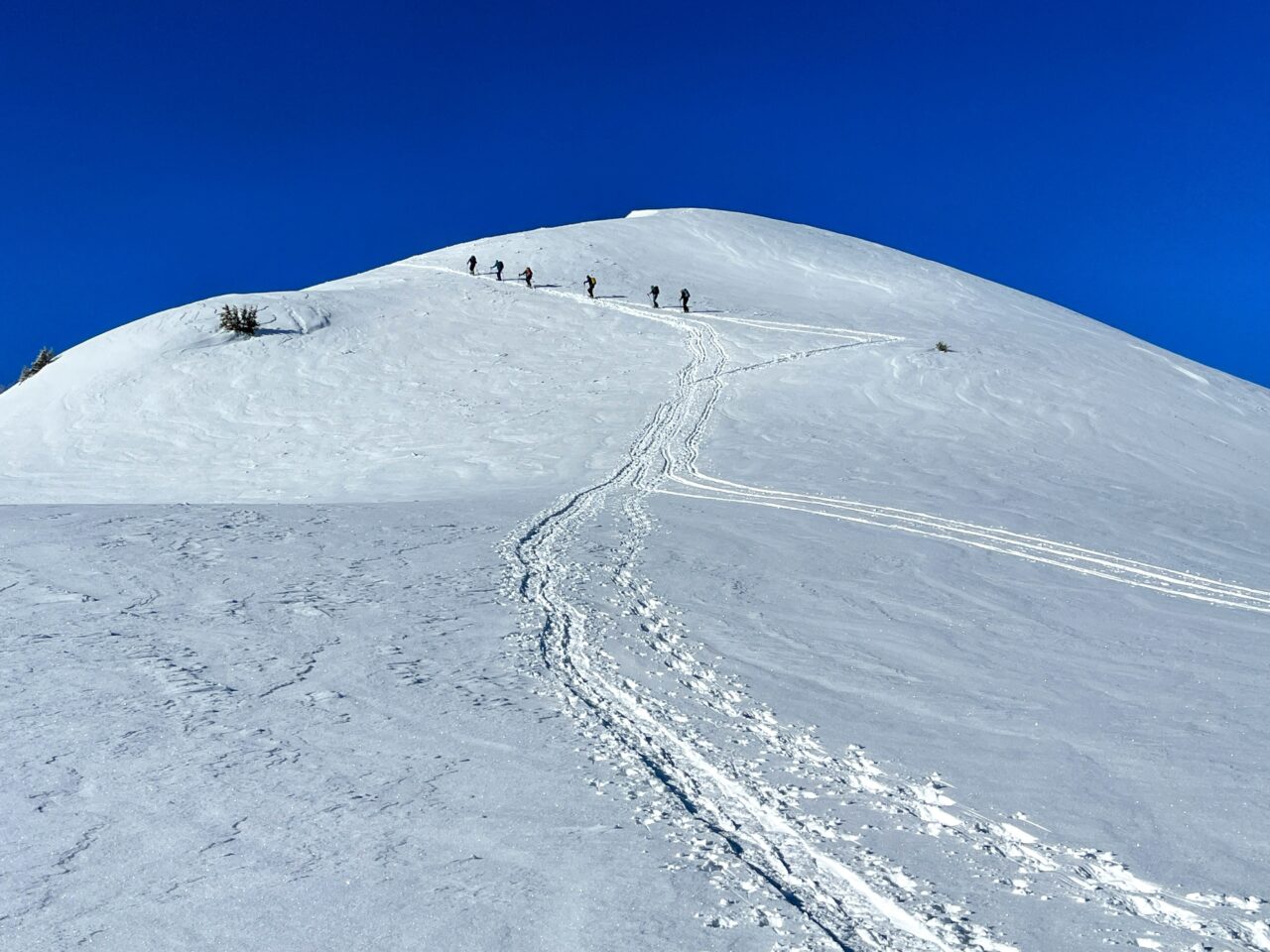 schneeschuhtour_st_antönien_chrüz__IMG_3716