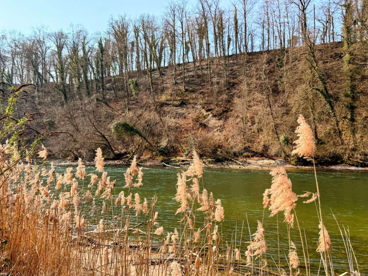 wanderung_reuss_und_aare_wanderung_mellingen_brugg_wildegg_