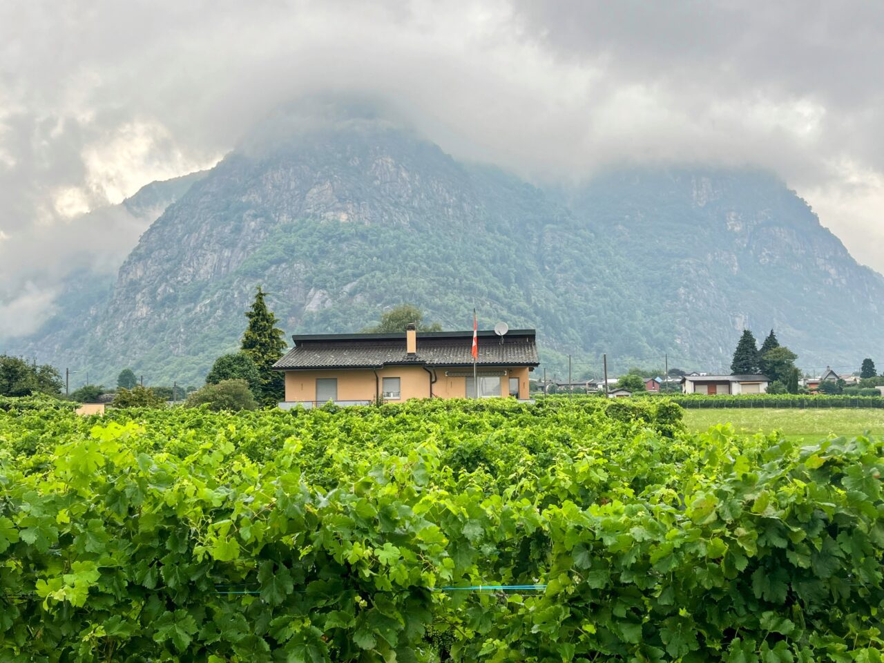 trans-swiss-trail-etappe-28-biasca-bellinzona-