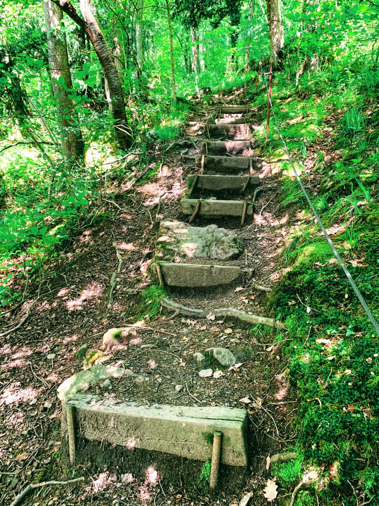 wanderung_waldstaetterweg_brunnen_vitznau_