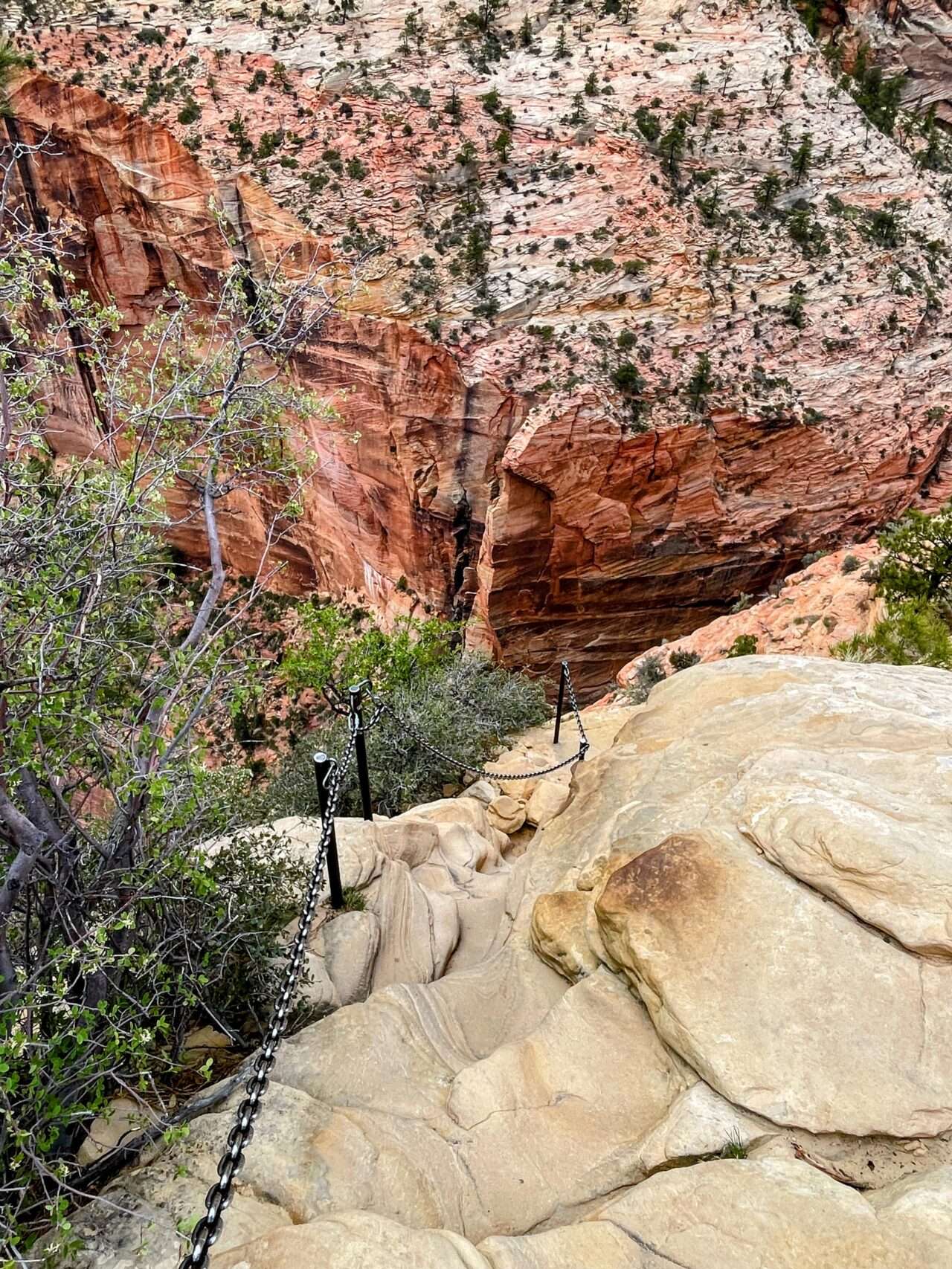 wanderung_zion_nationalpark_angels_landing_