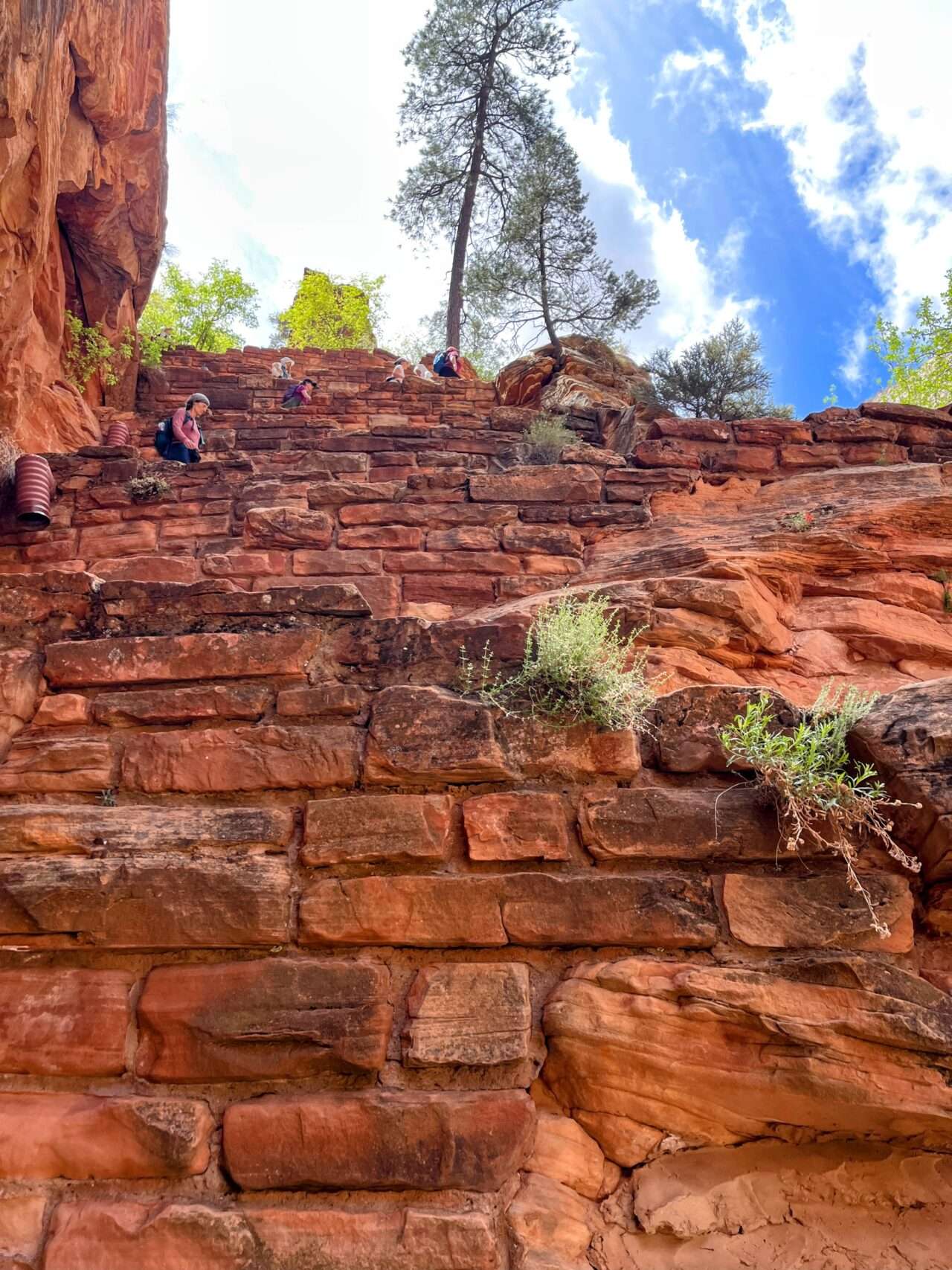 wanderung_zion_nationalpark_angels_landing_