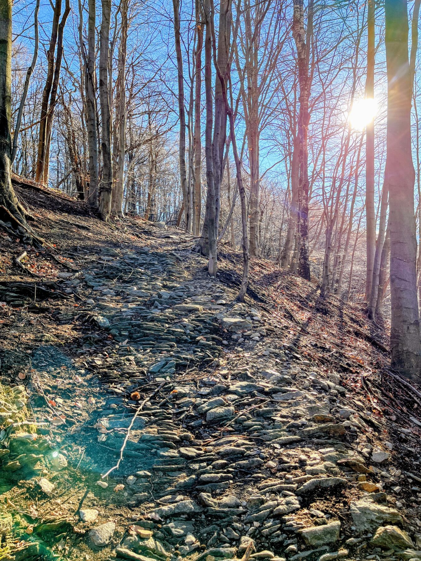 wanderung_transswiss_etappen_29_bis_32_bellinzona_mendrisio_