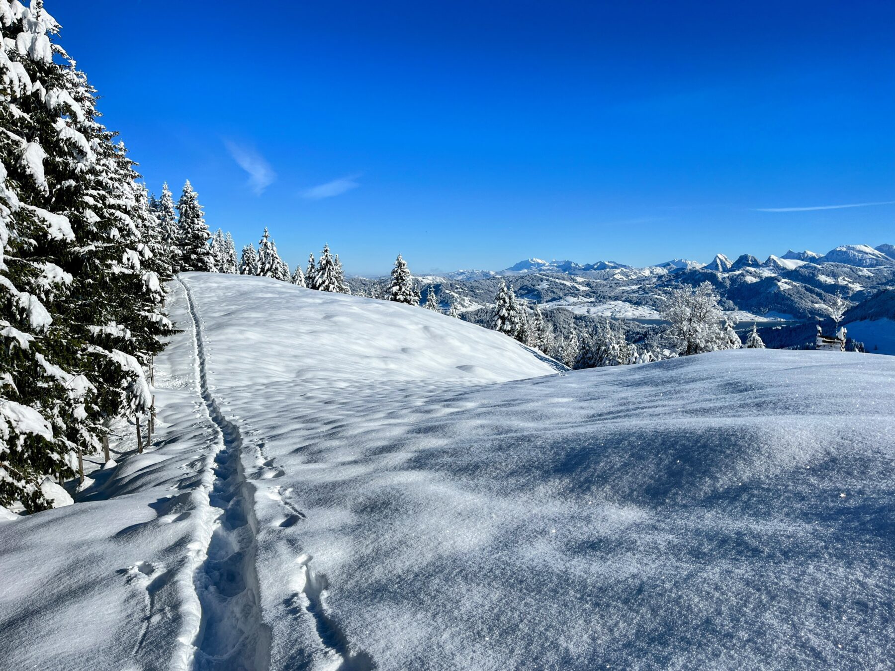 schneeschuhwanderung_rothenthurm_ahoren_biberbrugg__IMG_2372