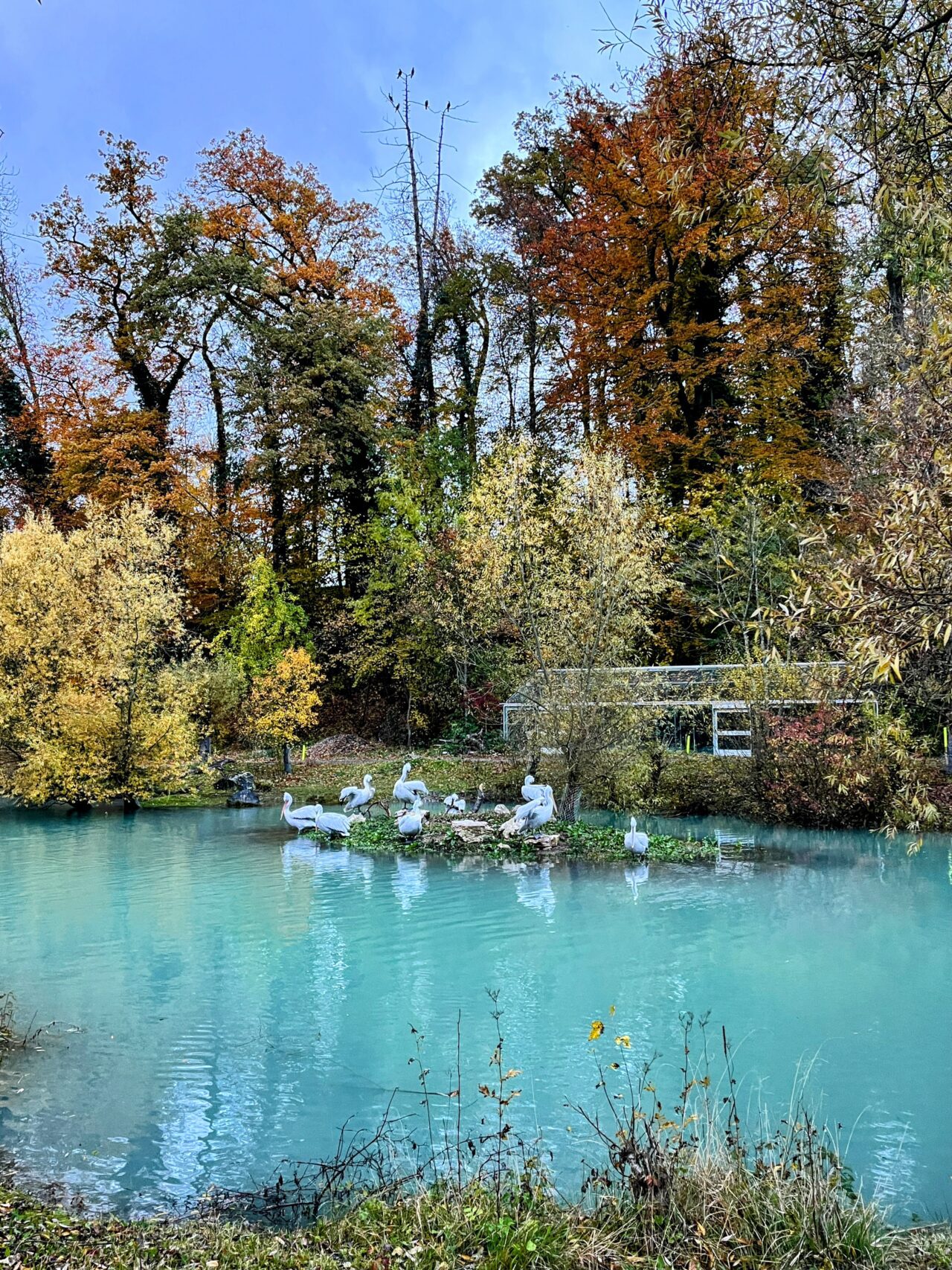 wanderung_trans_swiss_trail_etappe_10_11_bern_worb_lützelflüh_