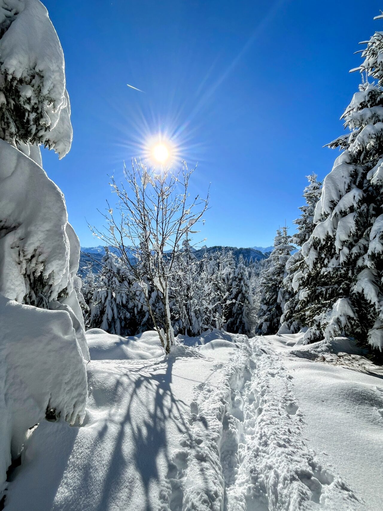schneeschuhwanderung_rothenthurm_ahoren_biberbrugg__IMG_2379