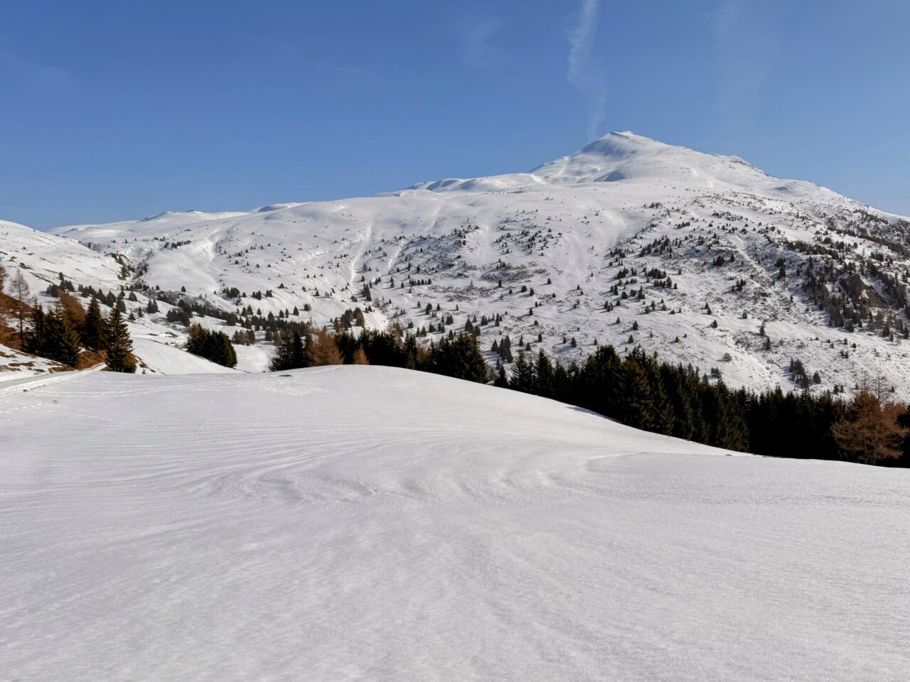 schneeschuhsafari_graubuenden_braembruesch_feldis__IMG_0575