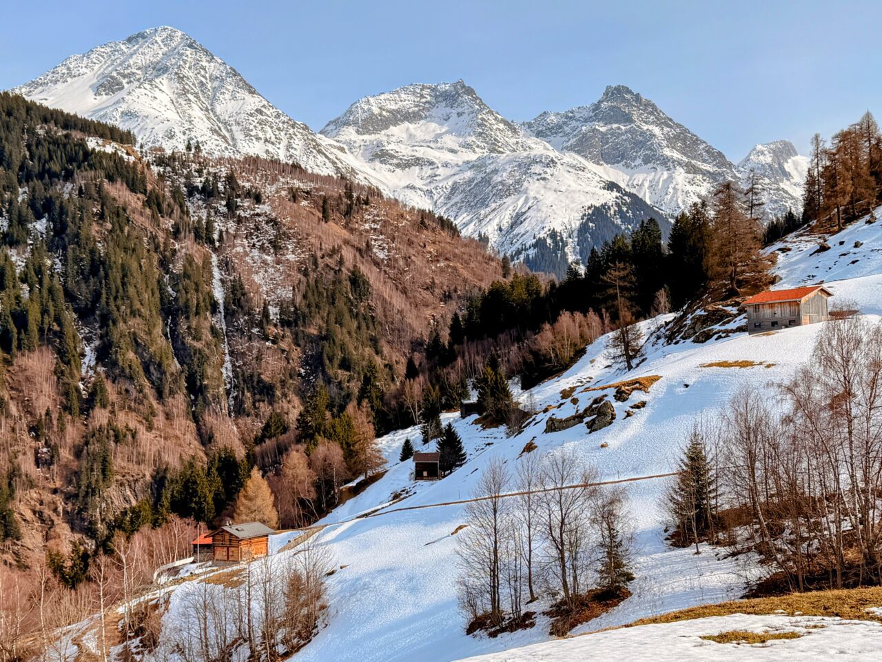schneeschuhsafari-graubuenden-sedrun-disentis-_IMG_0337