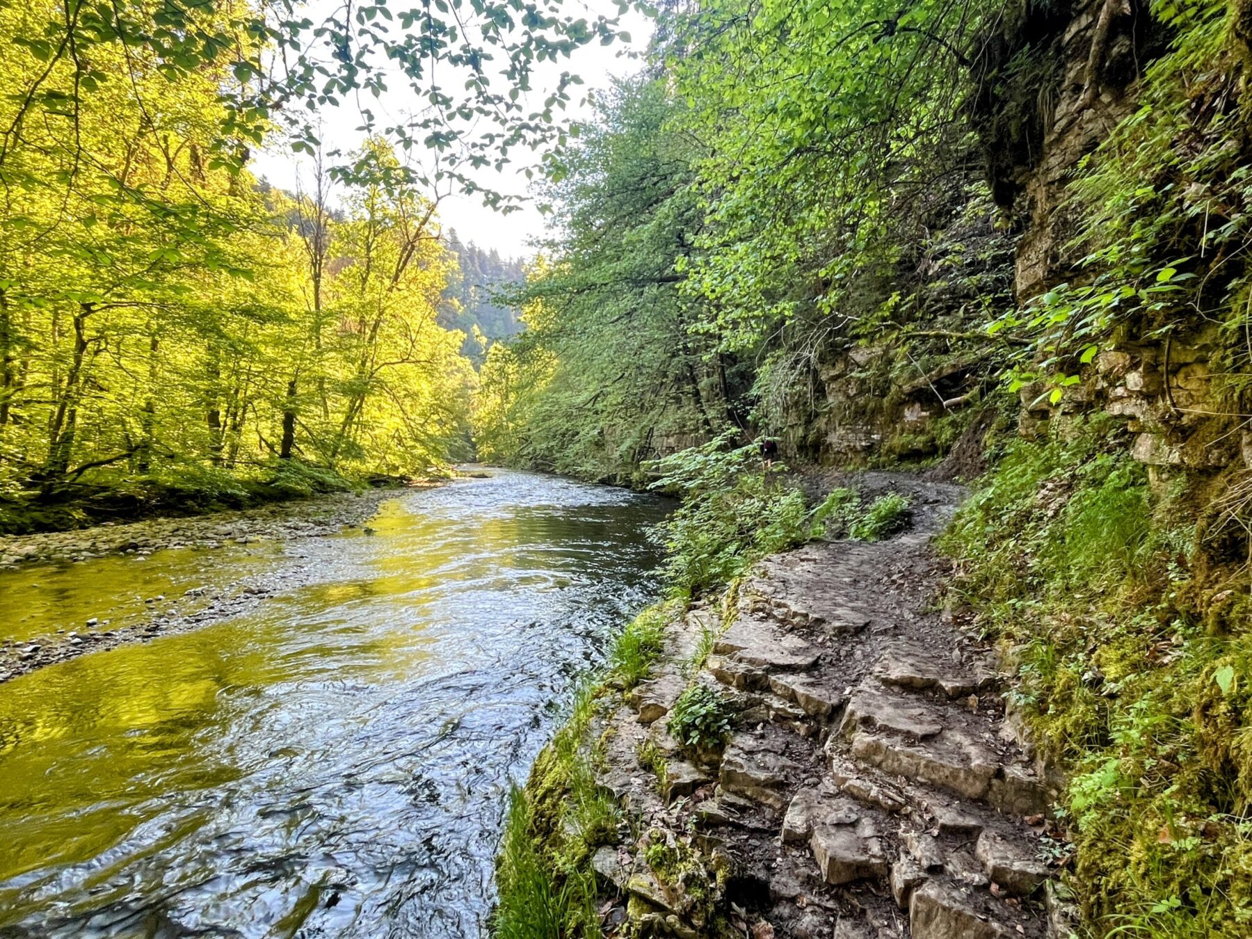 wanderung_schluchtensteig_schwarzwald_