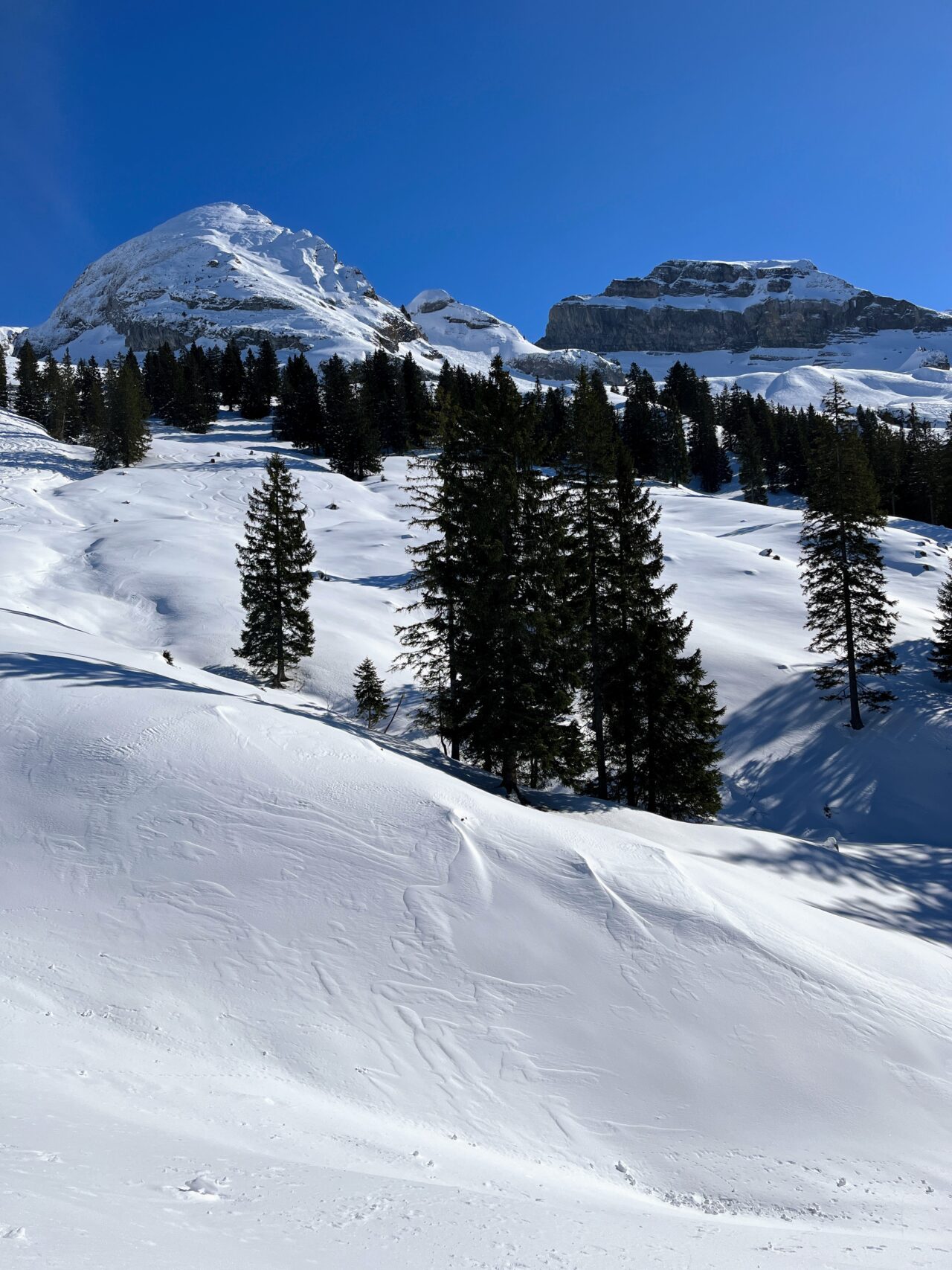 wanderung_druesberghütte__IMG_1318