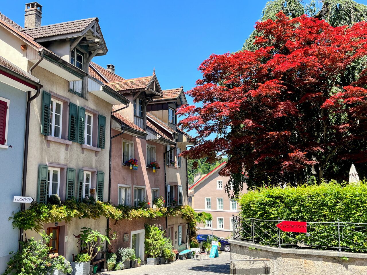 velotour_eglisau_laufenburg__IMG_5220 (Kopie)