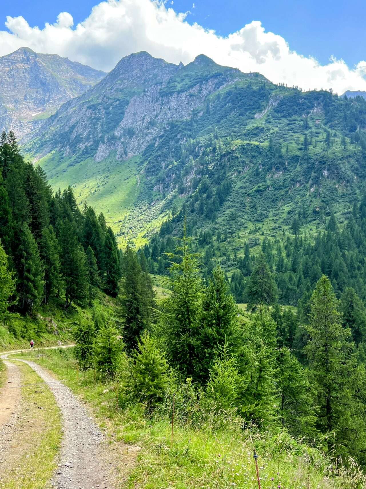 wanderung_alpenpässeweg_airolo_allacqua_