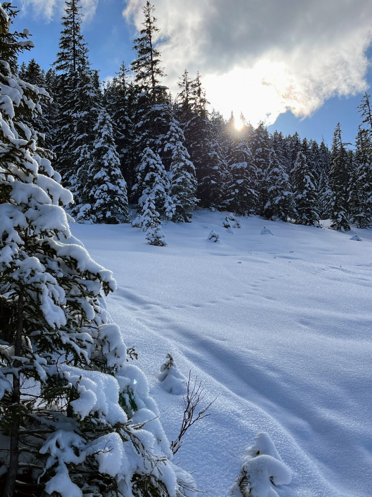 schneeschuhwandern-jaenzi-_IMG_9585