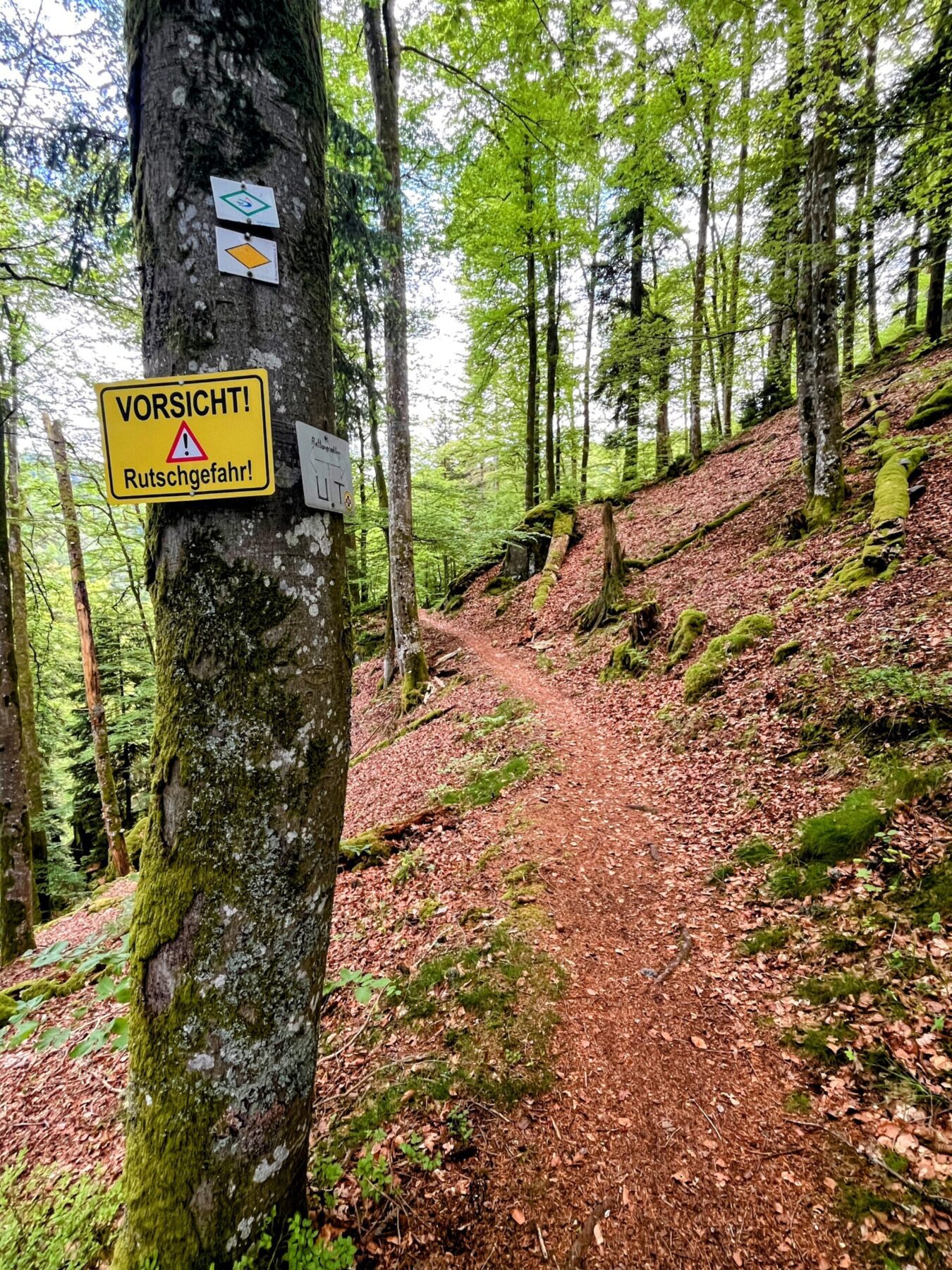 wanderung_schluchtensteig_schwarzwald_