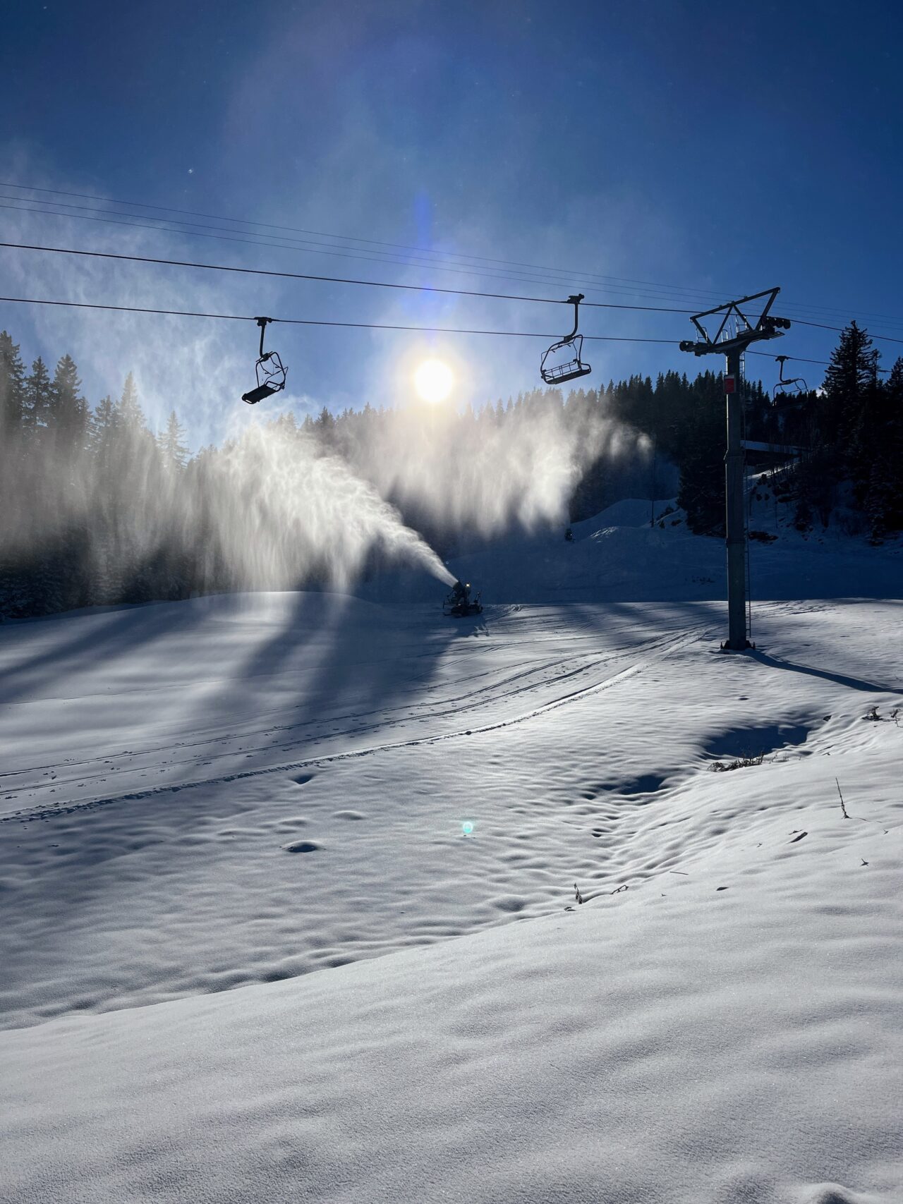 schneeschuhwandern-flumserberg-_IMG_7885