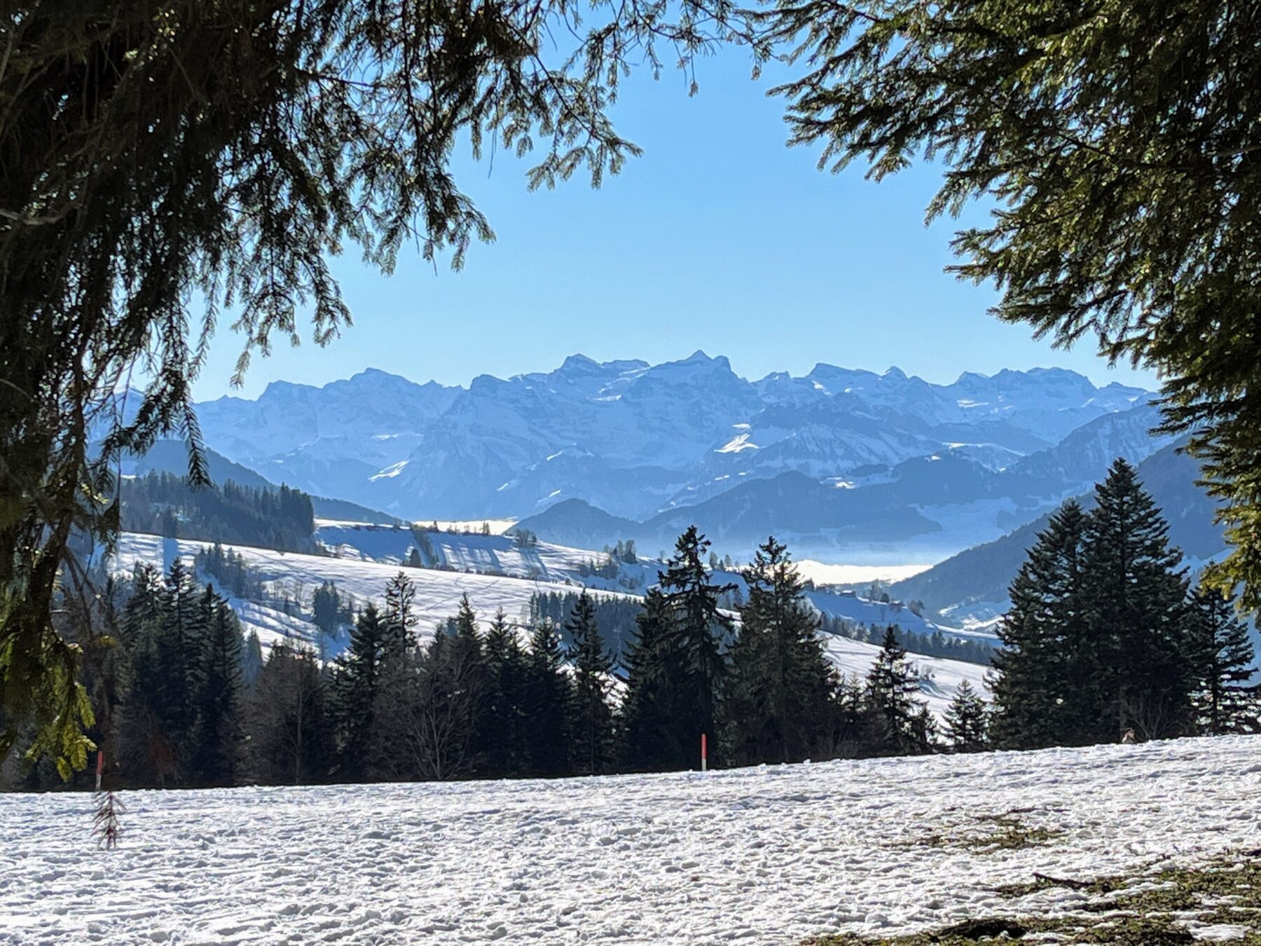schneeschuhwandern_gottschalkenberg__IMG_0724