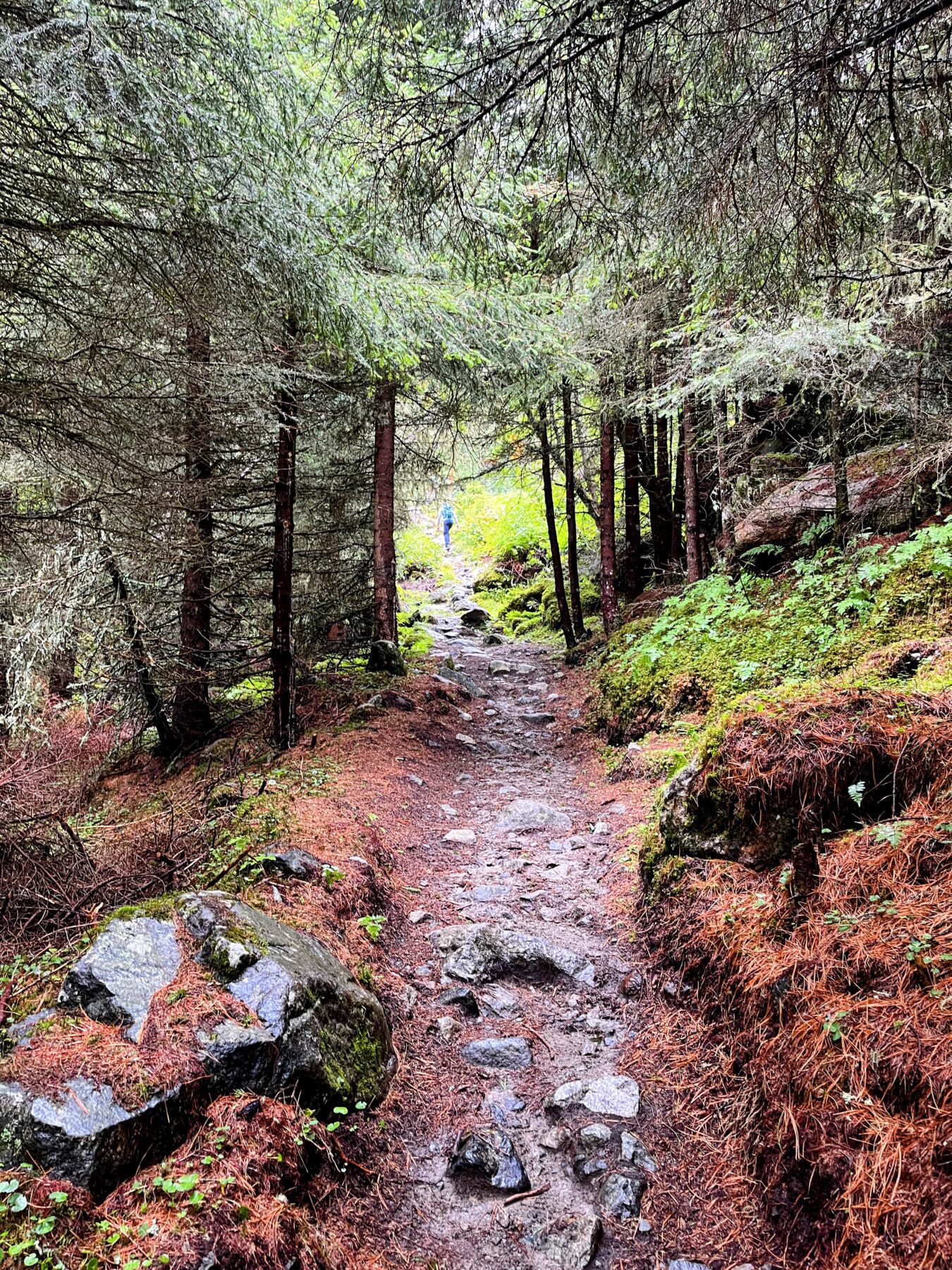 wanderung_amberger_hütte_