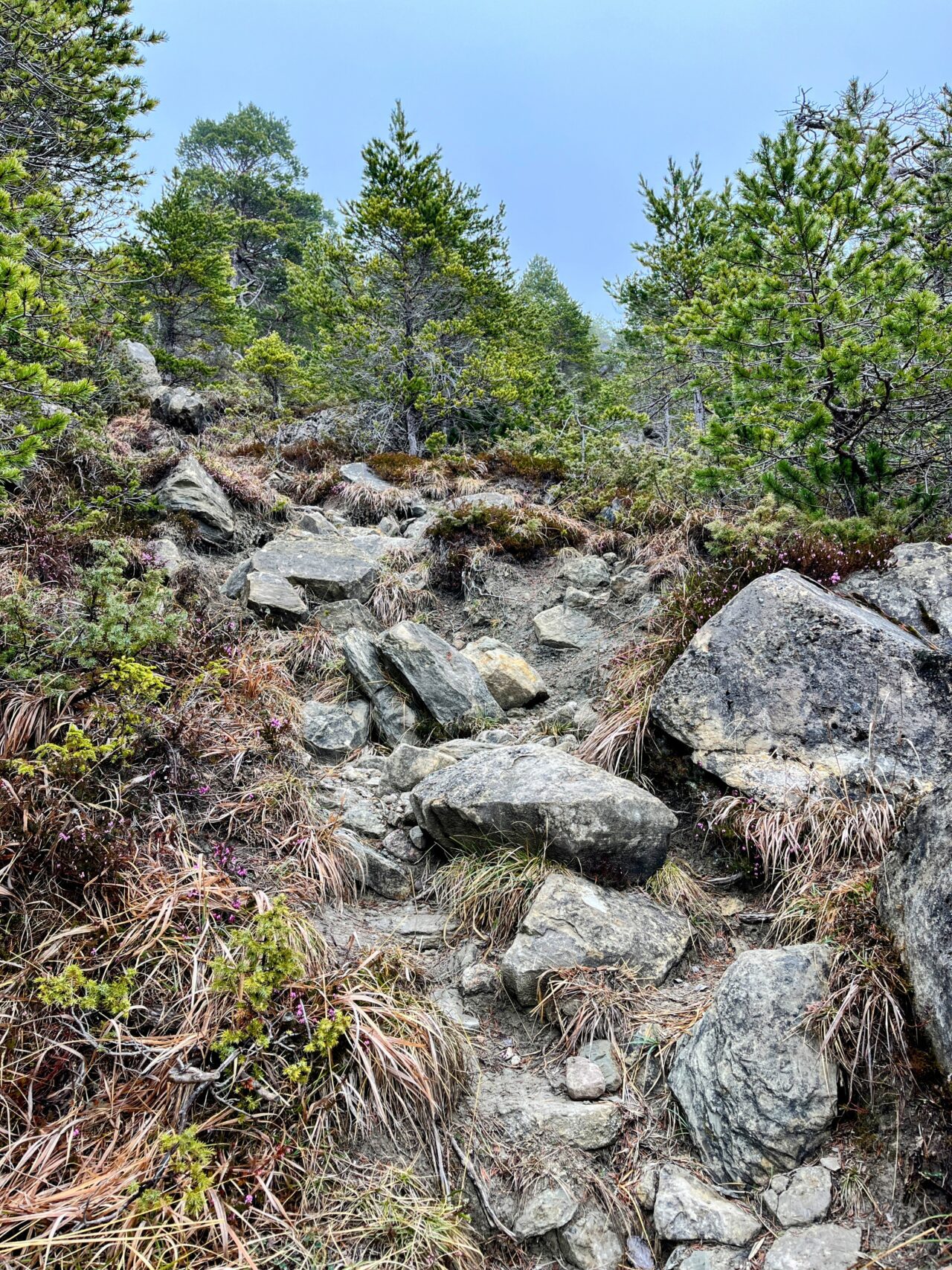 wanderung_gnipen_wildspitz_