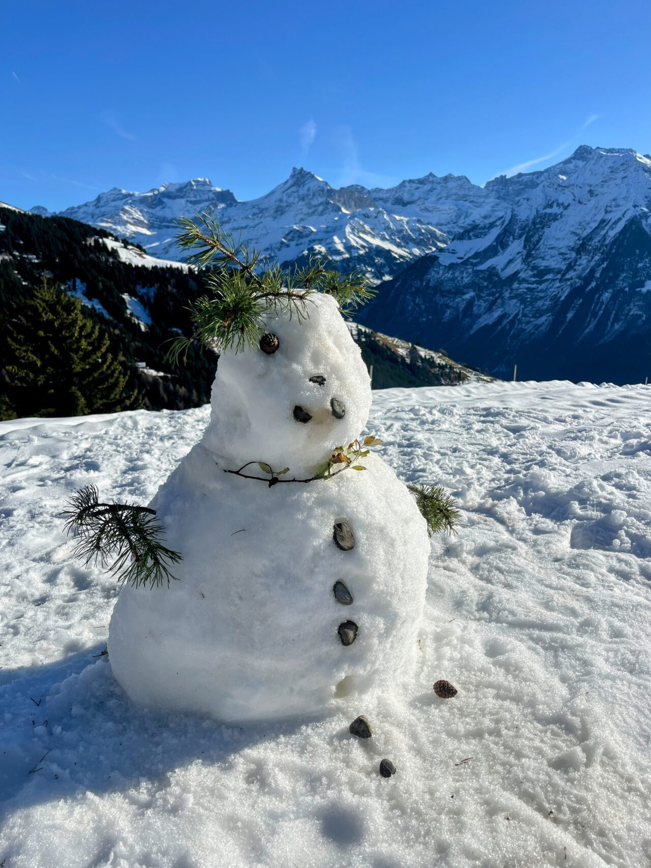 Schneeschuhe_winterwandern_eggberge_hueenderegg_ratzi__IMG_5690