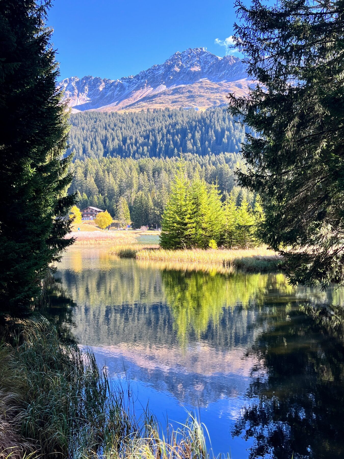 wanderung-via-sett-lenzerheide-churwalden-