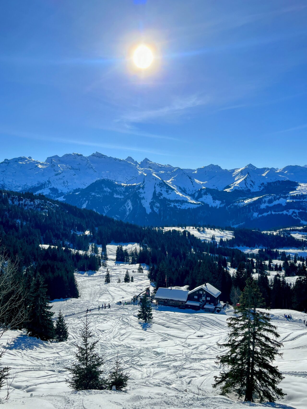 schneeschuhwanderung_oberiberg_furggelenstock__IMG_2802