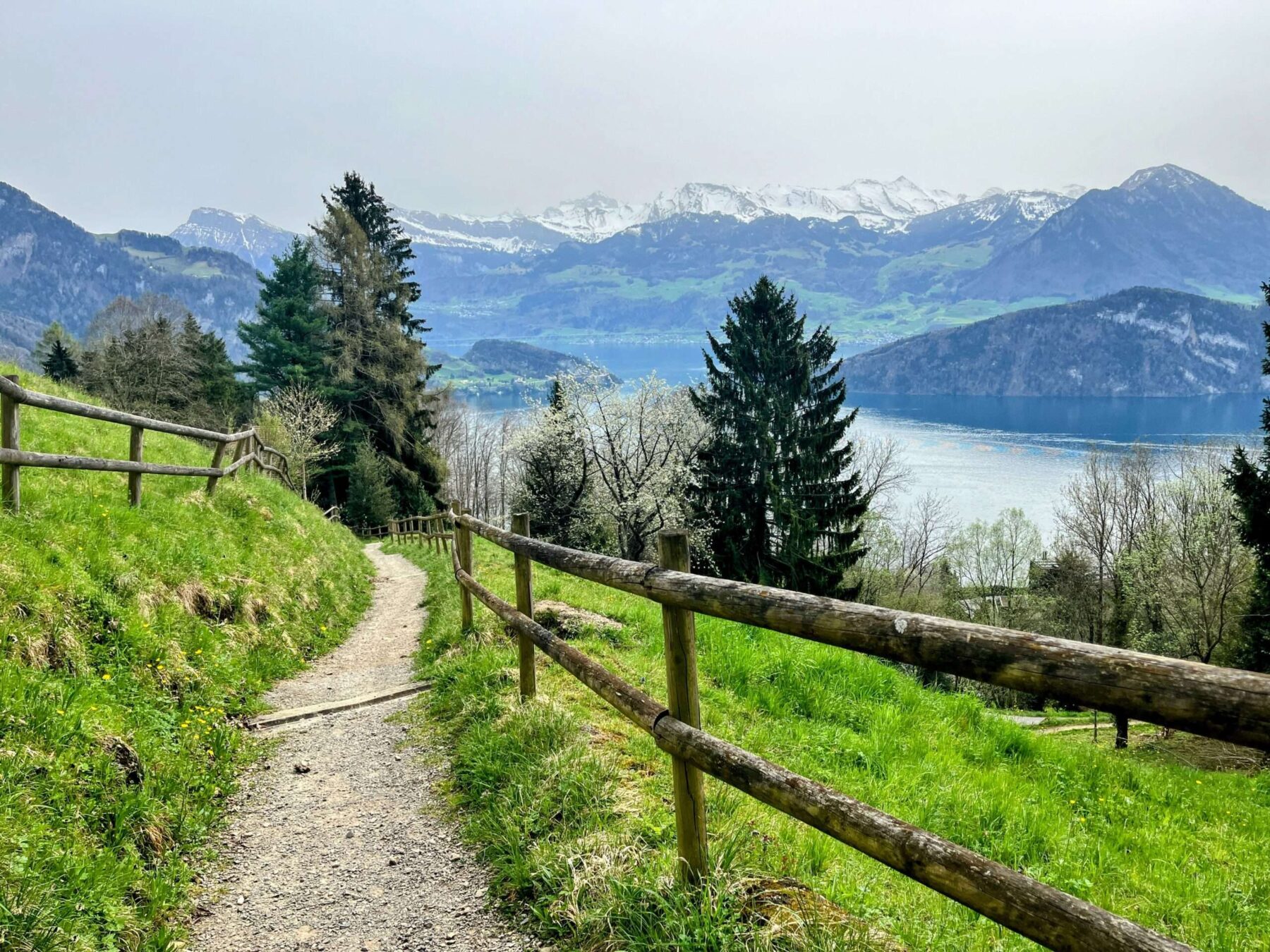 wanderung_weggis_rigi_