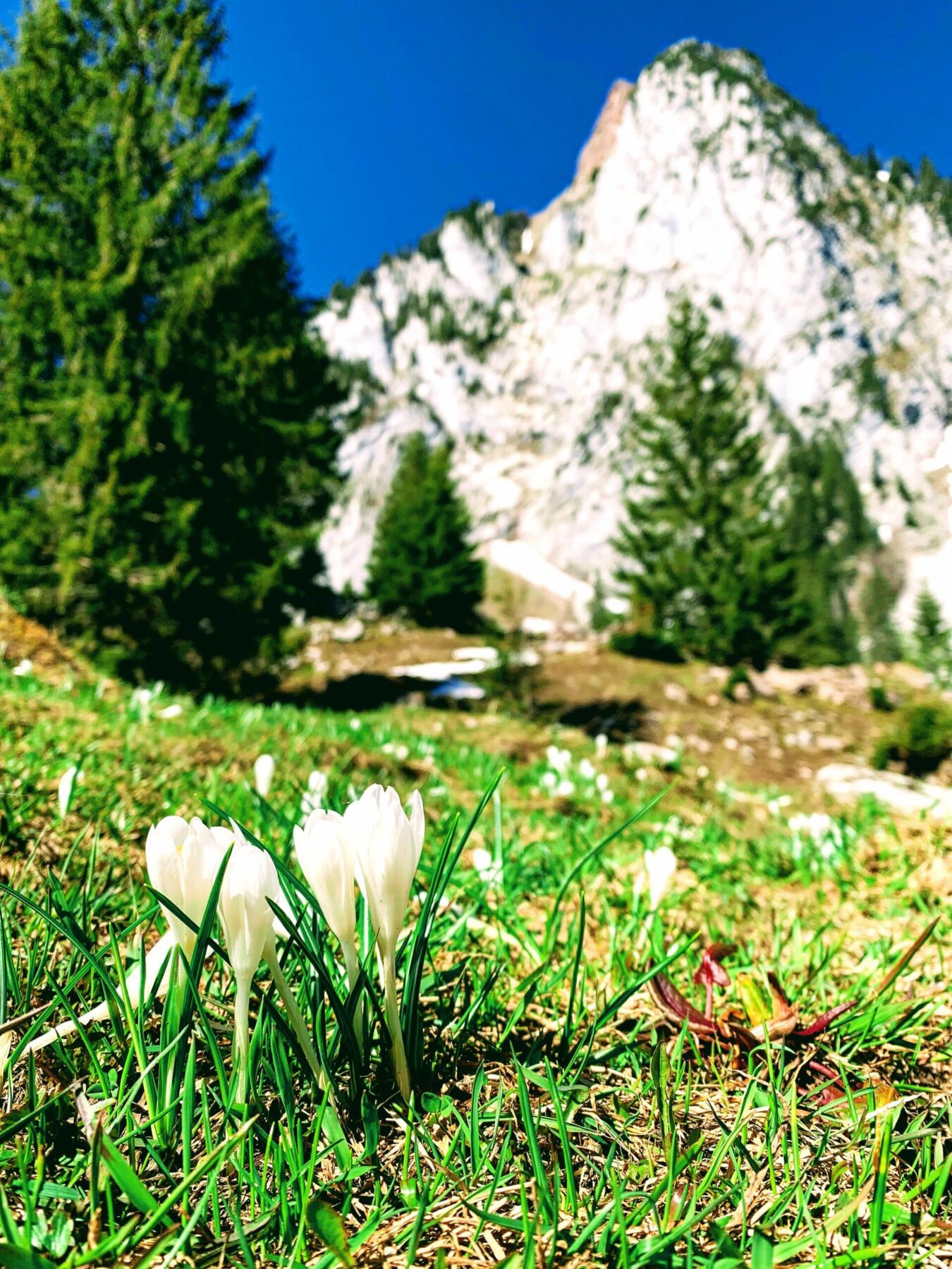 wanderung_grosser_mythen_