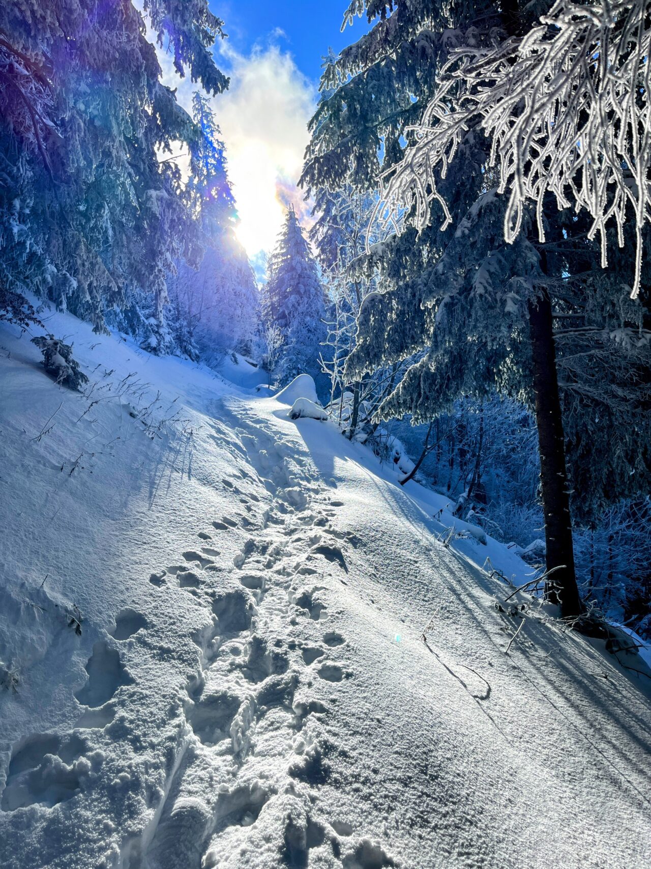 schneeschuhwanderung_wildspitz__IMG_2266