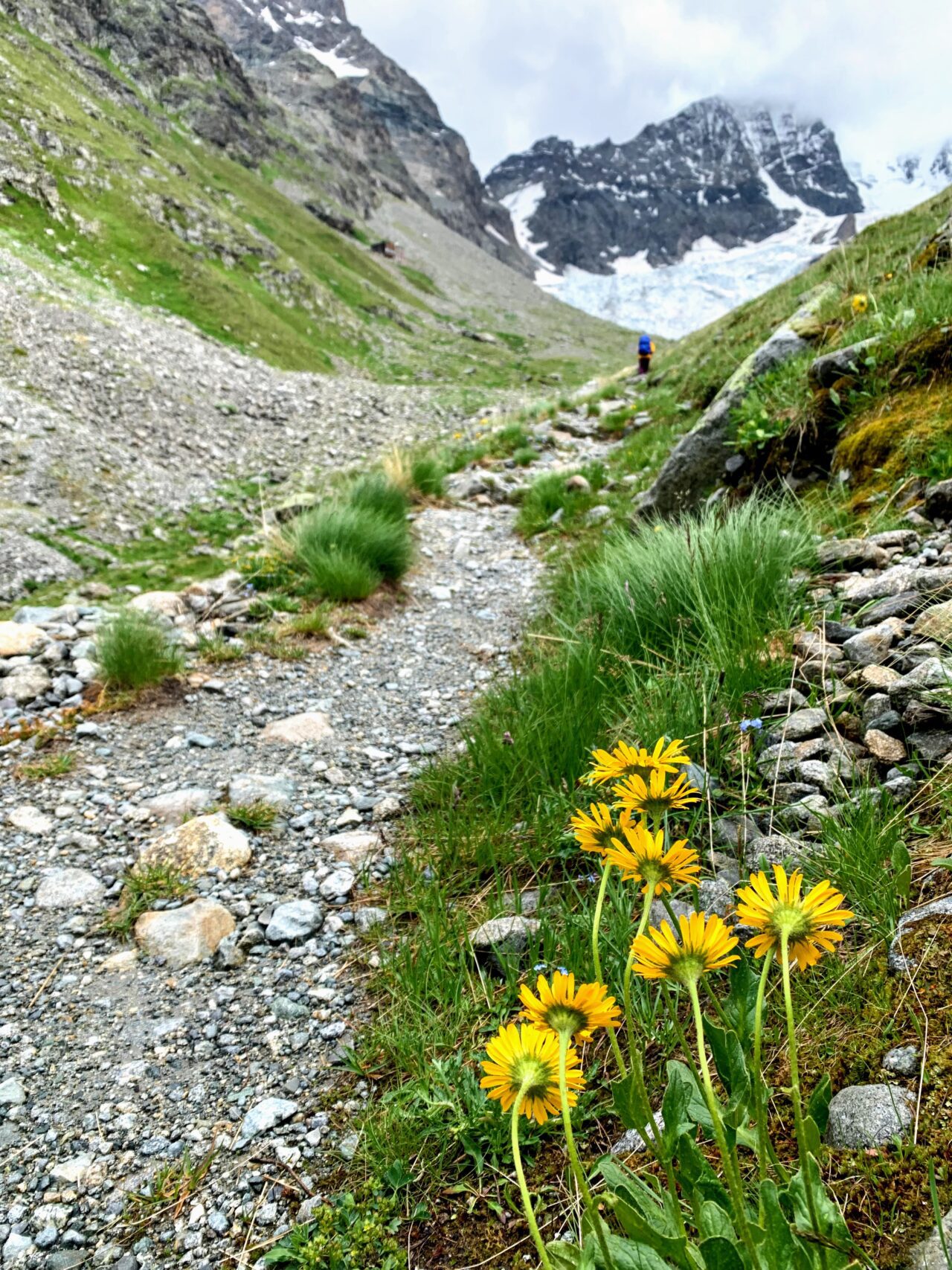 wanderung_tschiervahuette_