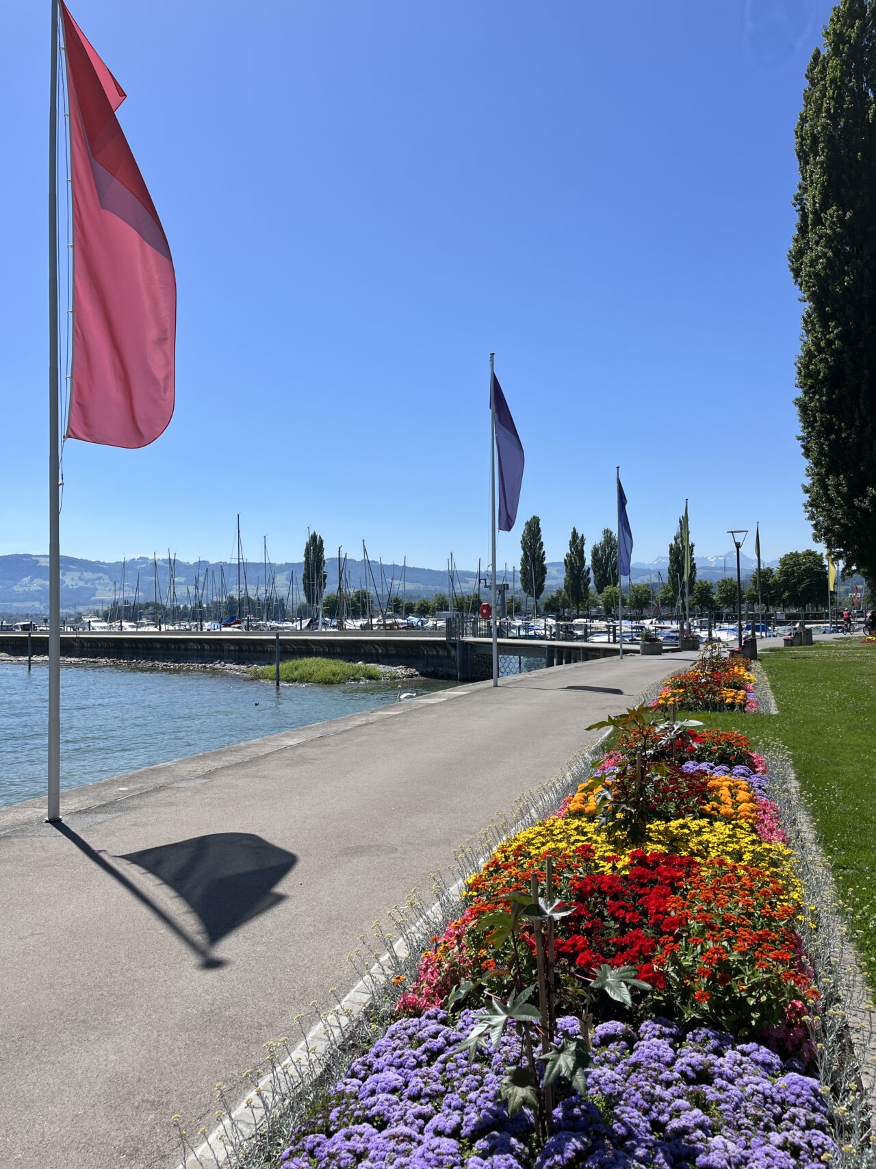 radtour_romanshorn_st_margathen__IMG_5310