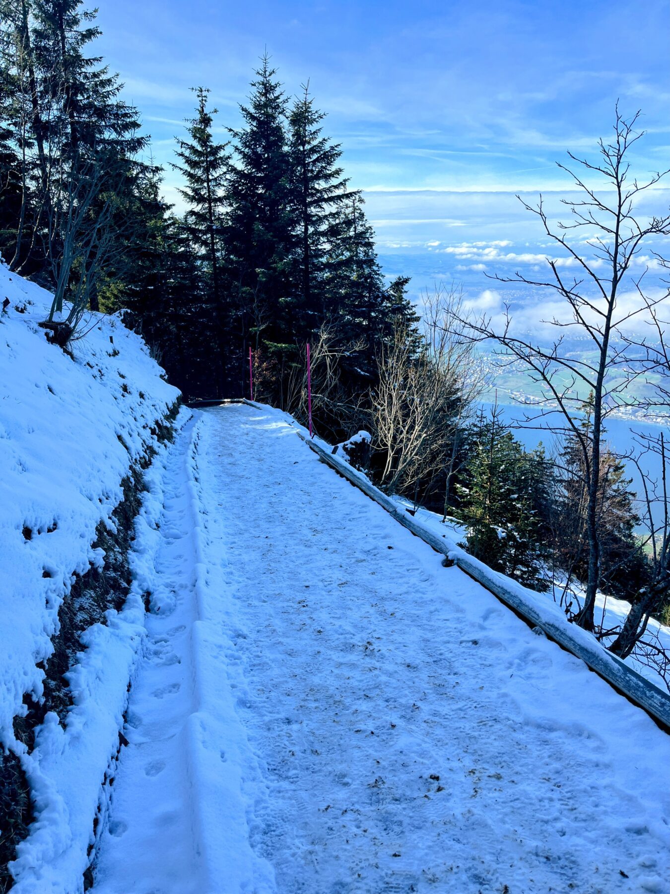wanderung_greppen_rigi_
