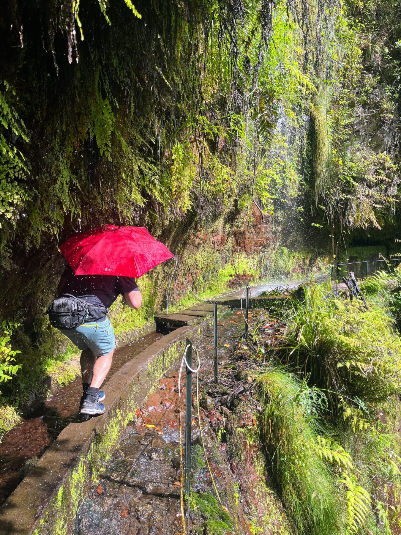 wanderung_levada_do_rei_pr18_