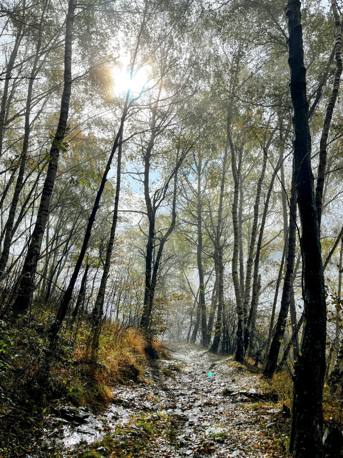 trans-swiss-trail-etappe-26-27-faido-biasca-