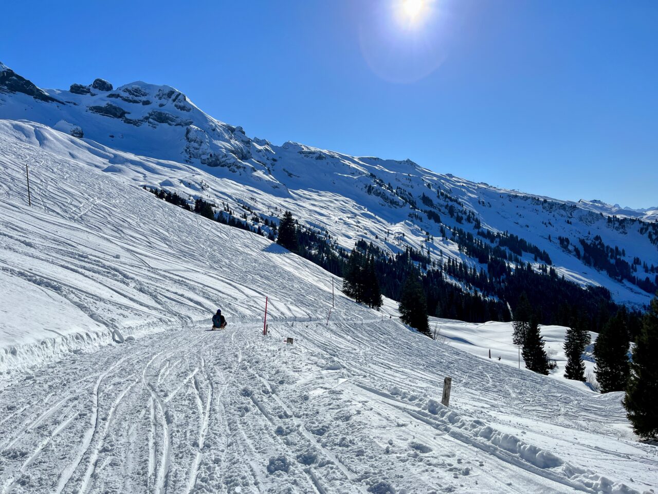 wanderung_druesberghütte__IMG_1340 (Kopie)