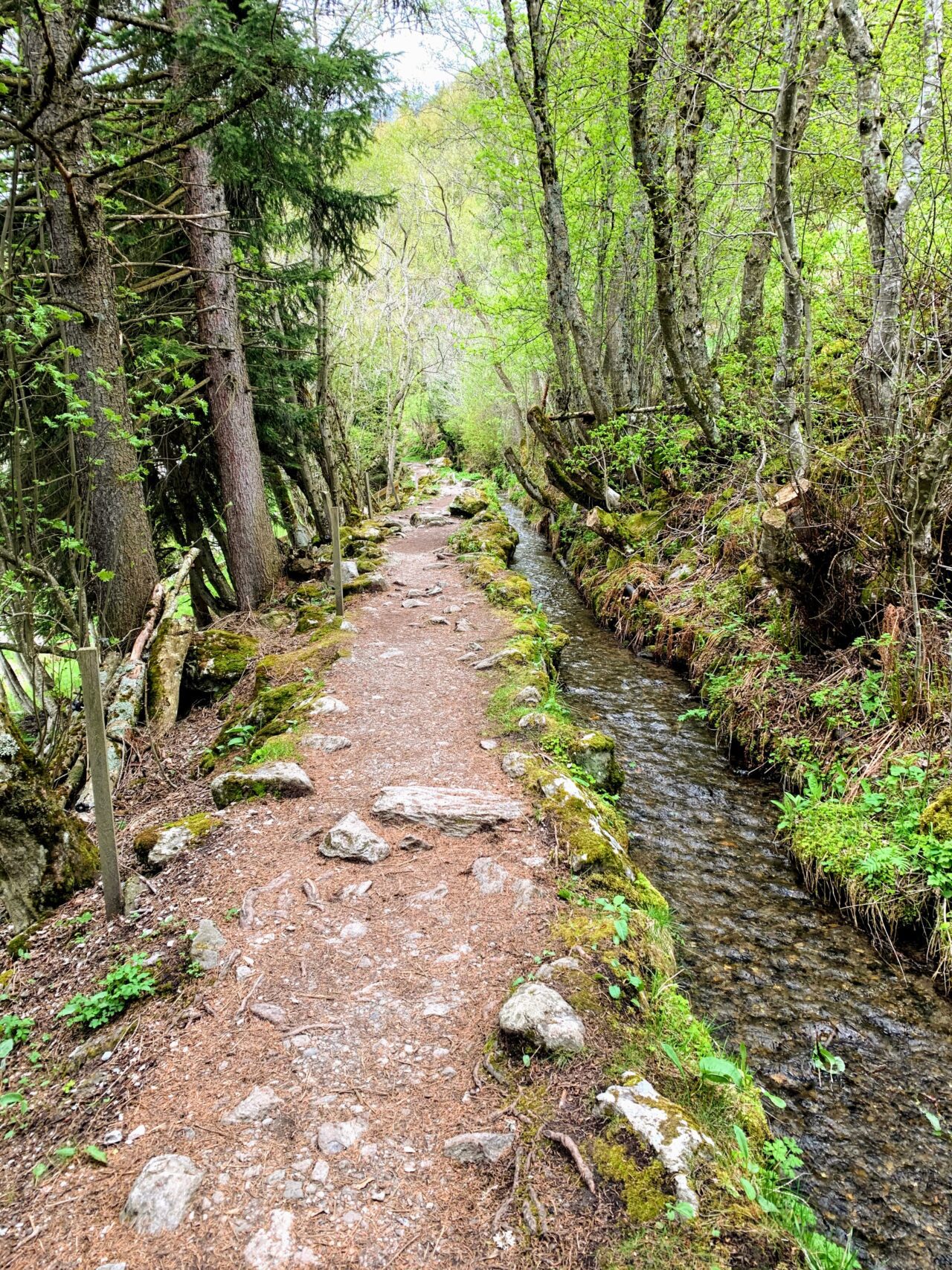 wanderung_bisse_du_milieu_bisse_vieux_