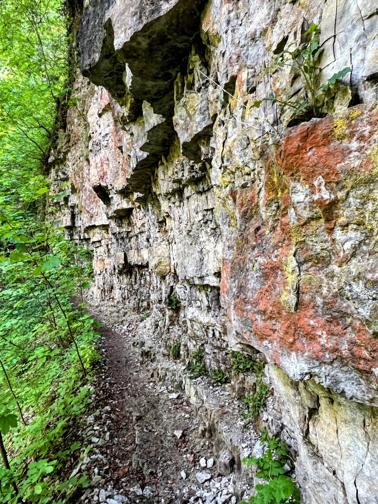 wanderung_schluchtensteig_schwarzwald_