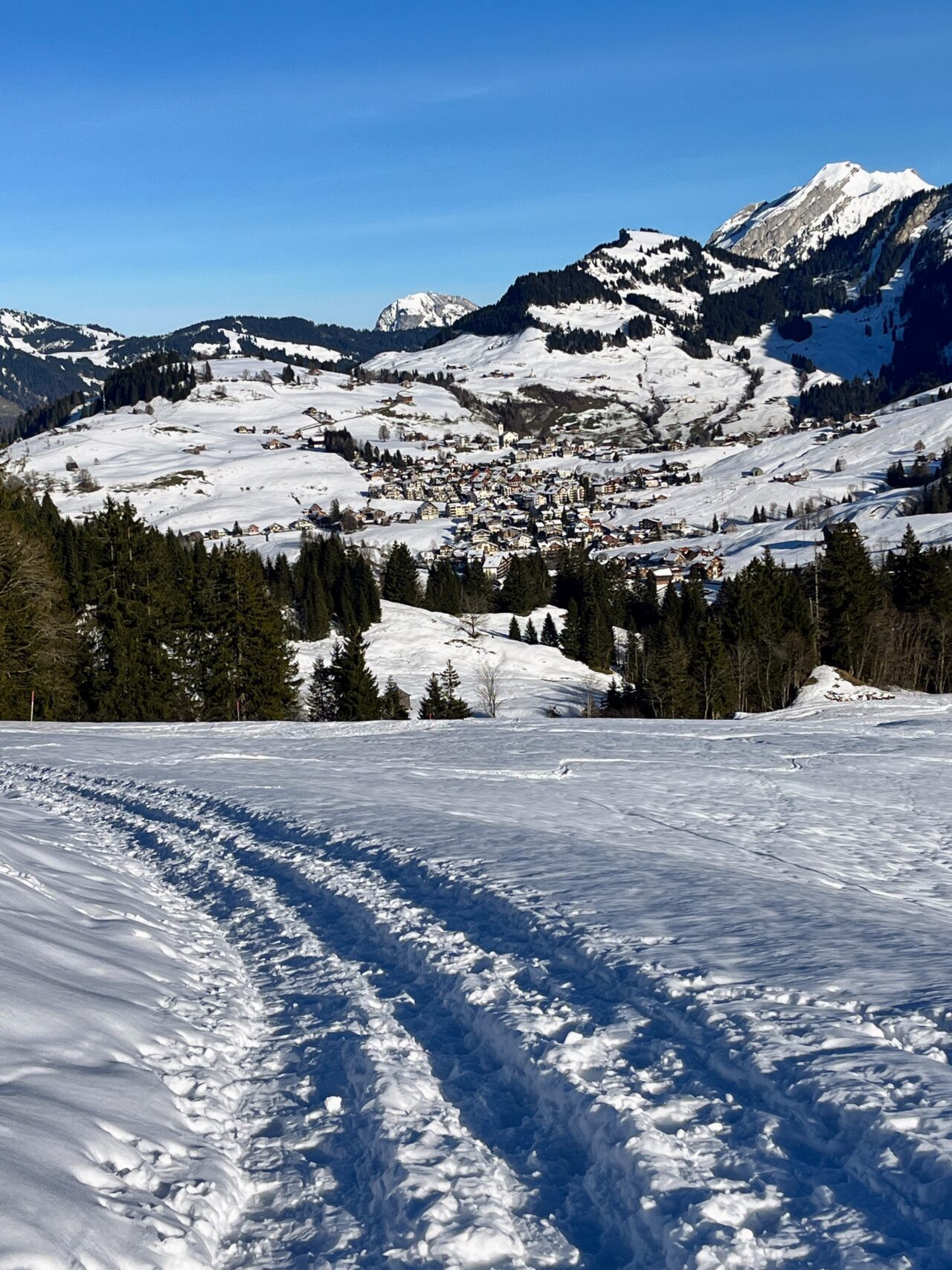 schneeschuhwanderung_oberiberg_furggelenstock__IMG_2806