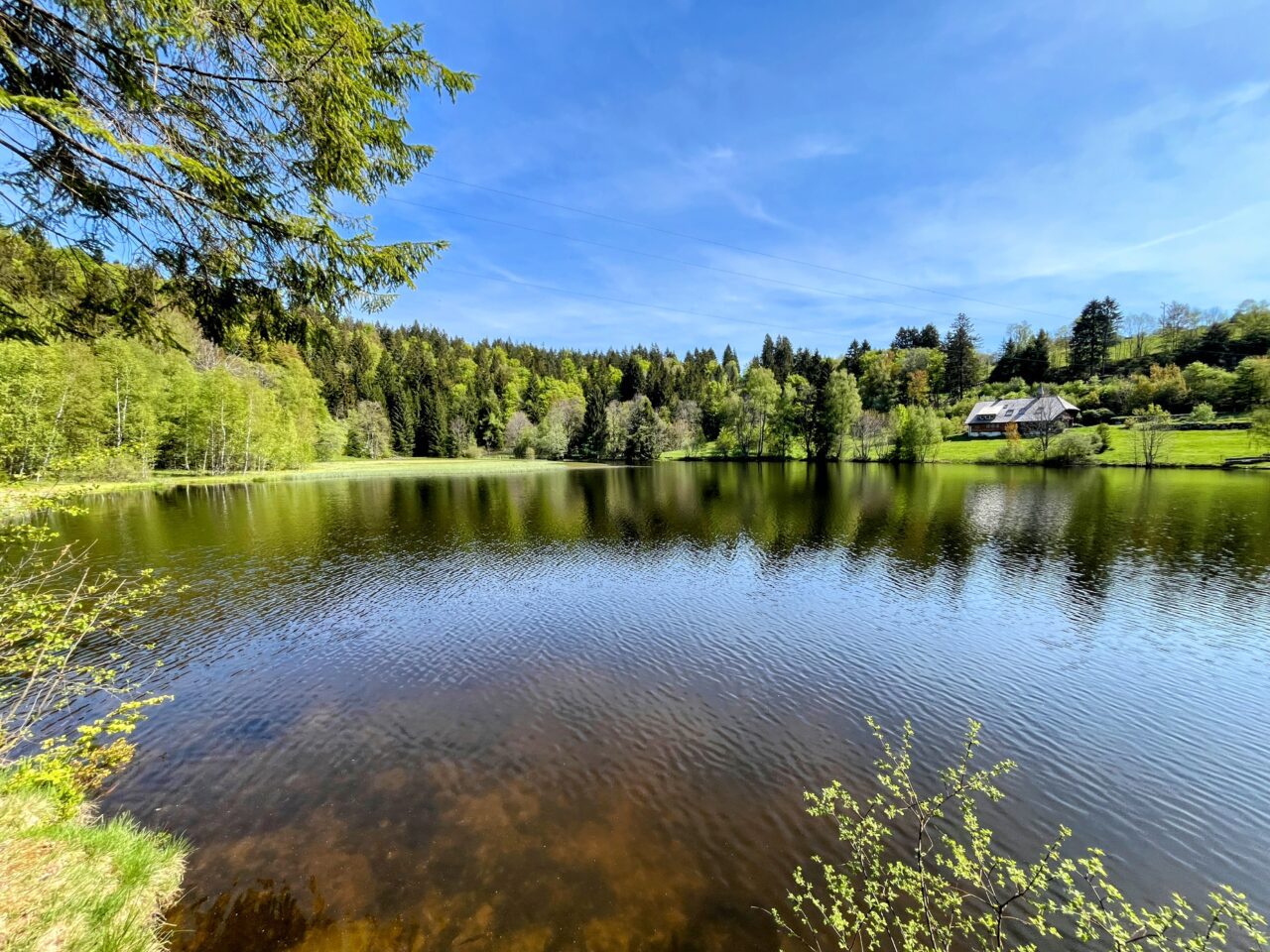 wanderung_schluchtensteig_schwarzwald_