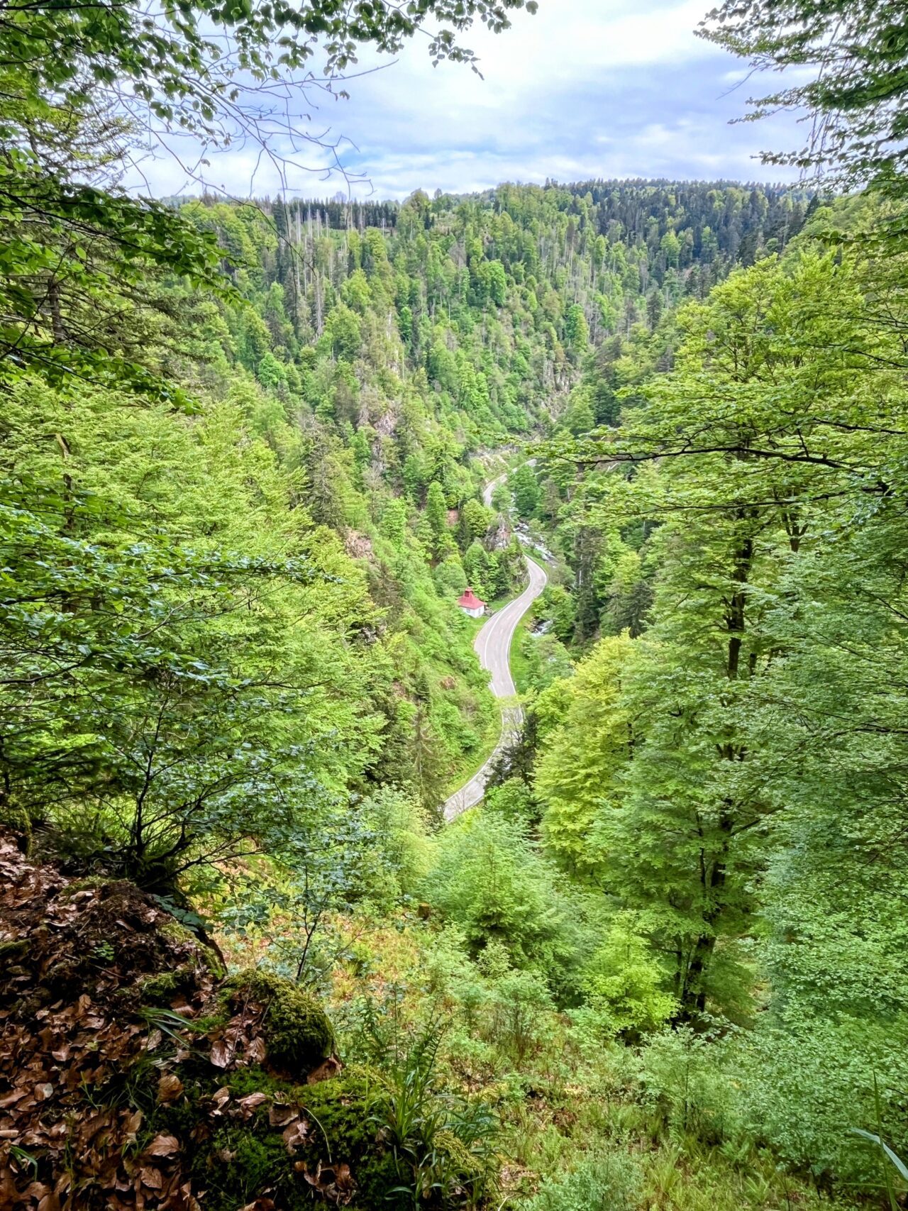 wanderung_schluchtensteig_schwarzwald_