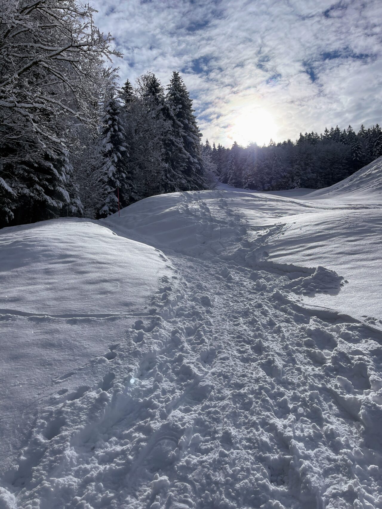 schneeschuhwanderung_atzmaennig_chruezegg_