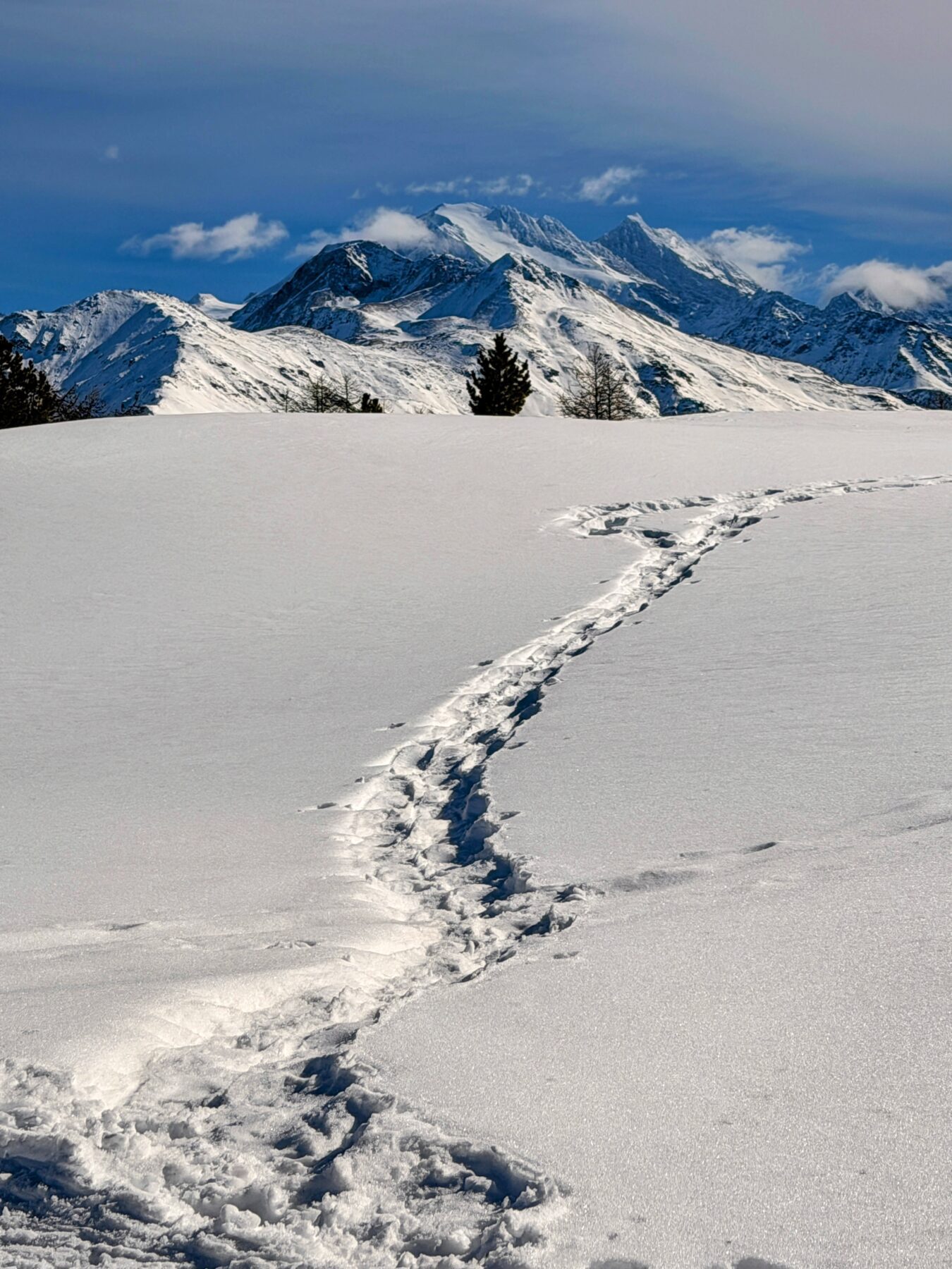 schneeschuhwanderung_buerchen_stand__IMG_9933