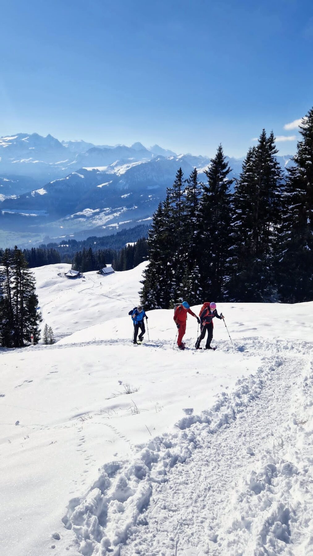 schneeschuhwandern-jaenzi-_45e3fad9-5226-459f-9919-bb21a9ea017c