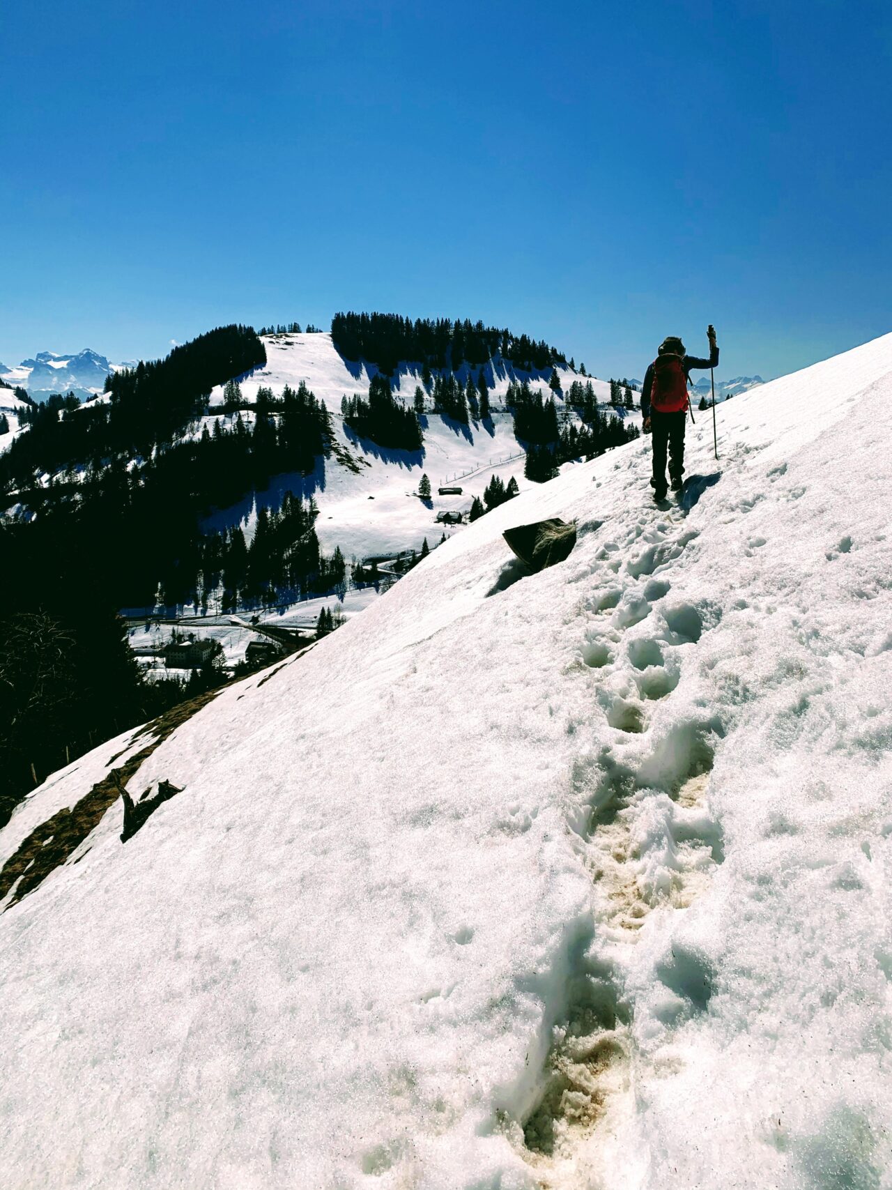 winterwandern_rigi_