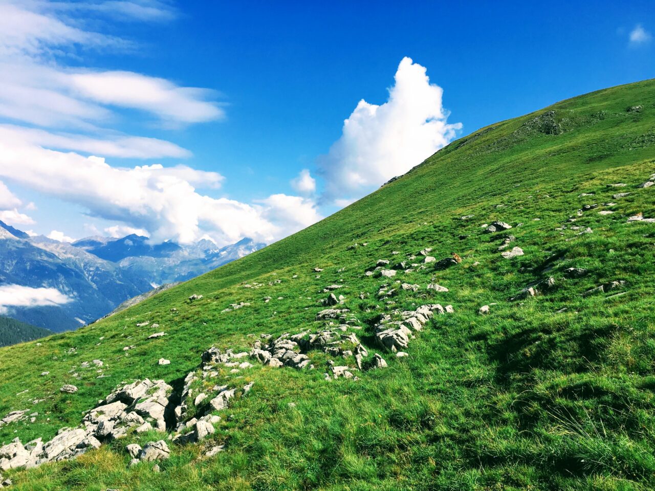 wanderung_zernez_nationalpark_chamanna_cluozza_