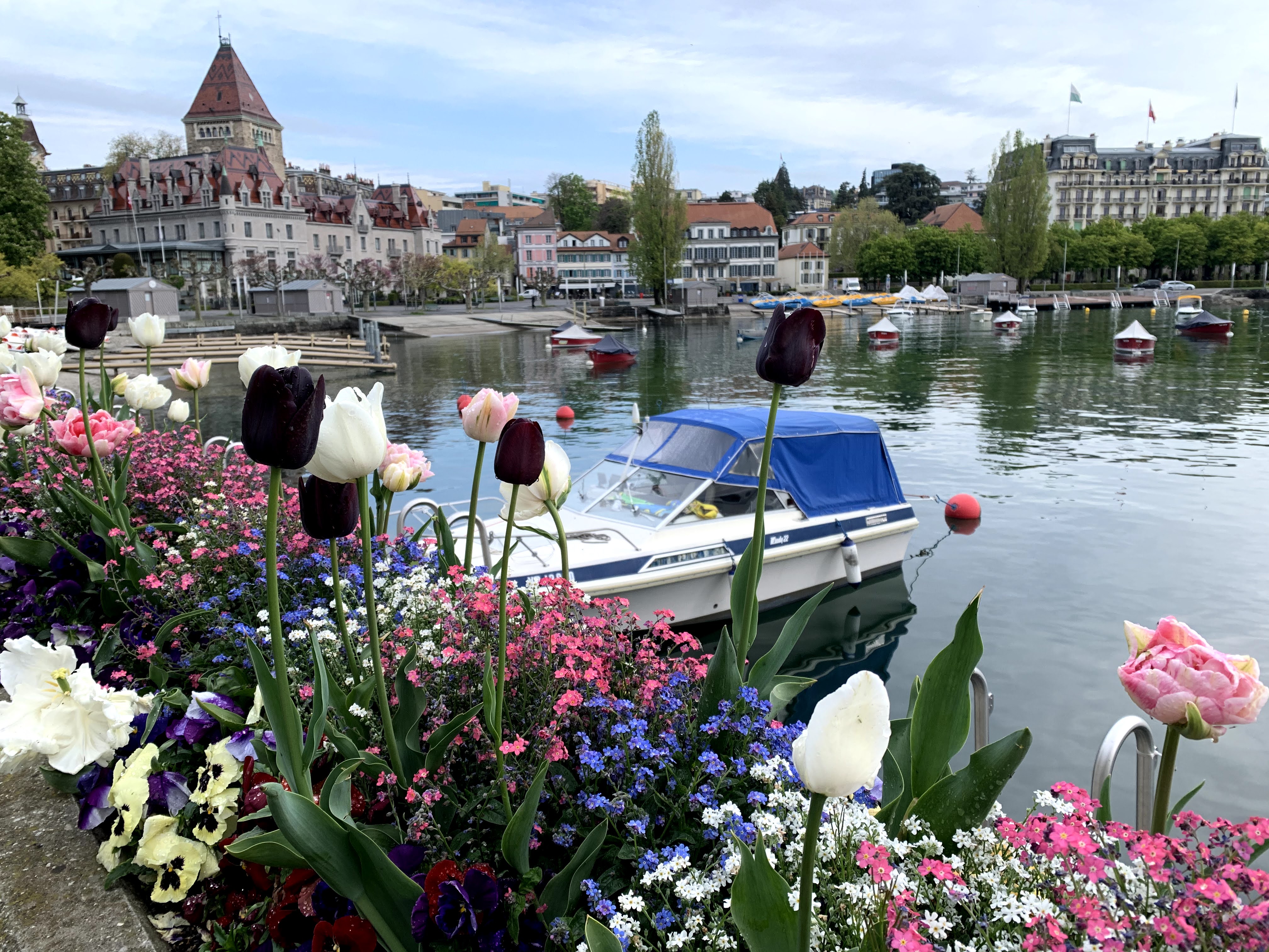 velotour_mittellandroute_lausanne_vevey__IMG_7791
