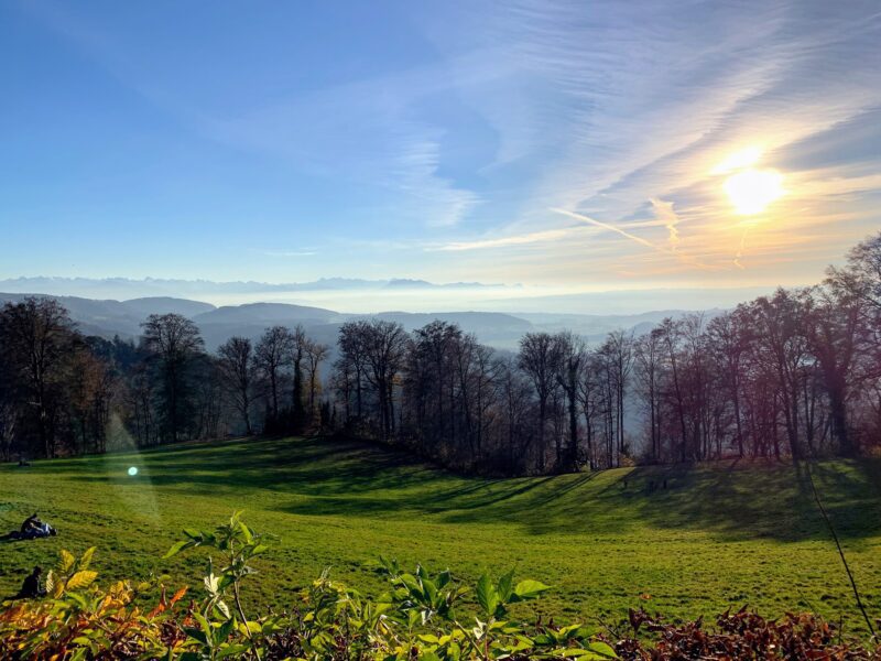 wanderung_Felsenegg_uetliberg_albisgrat_